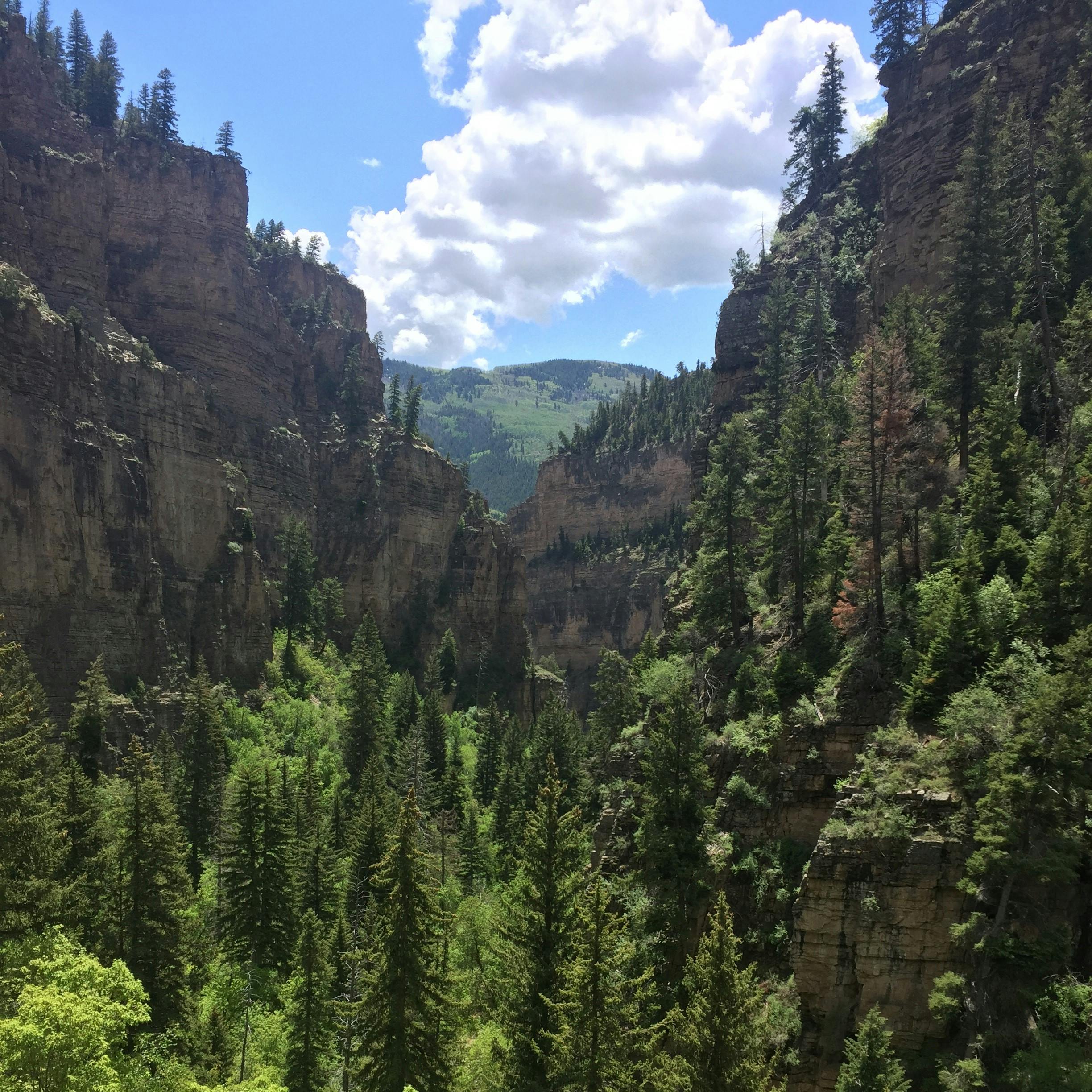 user avatar image for Jessie L.