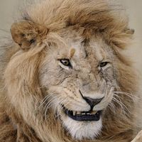 user avatar image for Michael