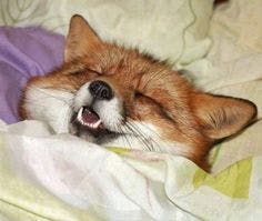 user avatar image for Casey