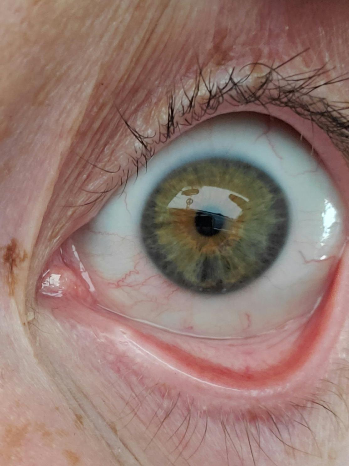 user avatar image for Sand Panda