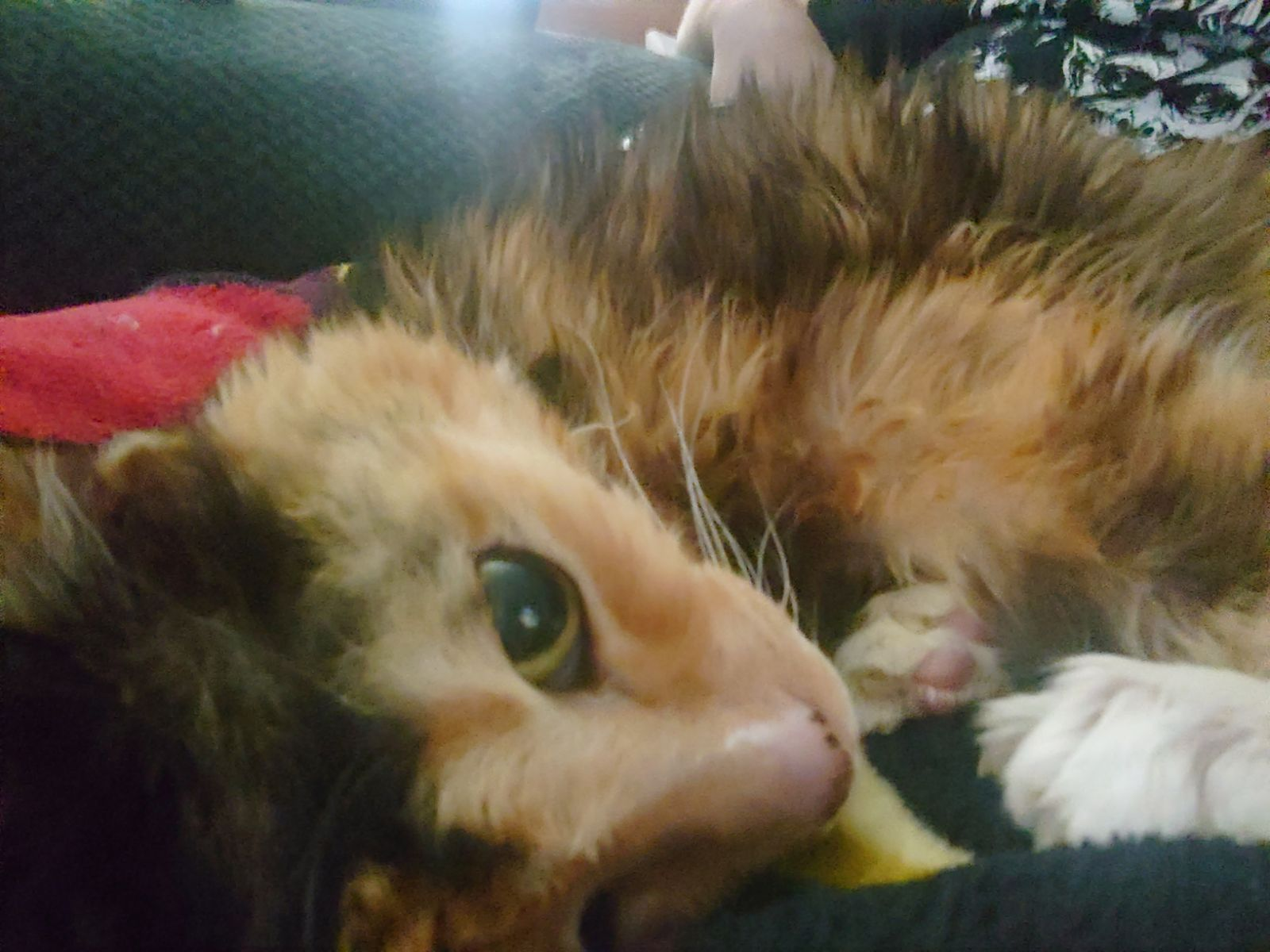 user avatar image for Sarah