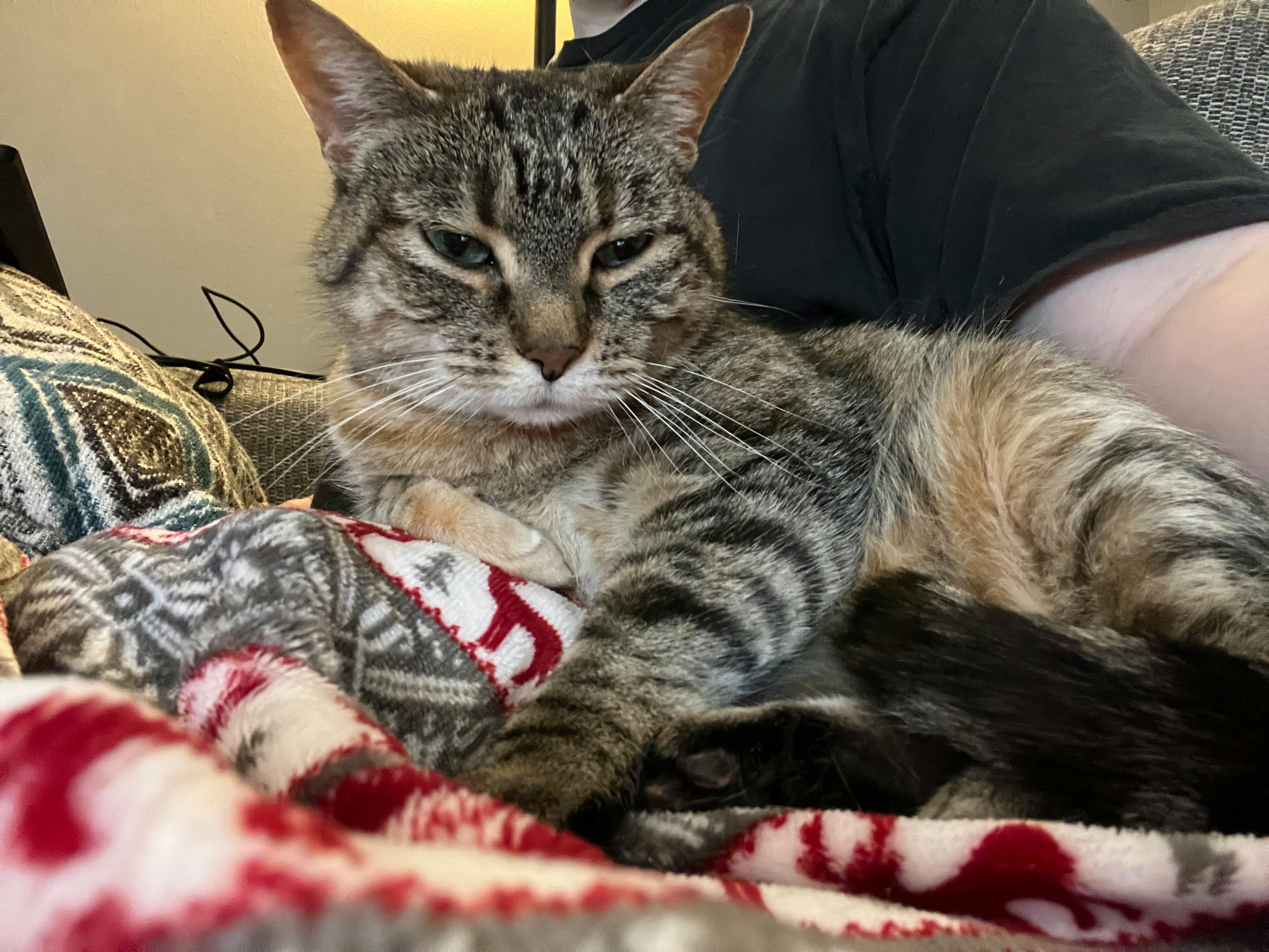 user avatar image for Mstromenger