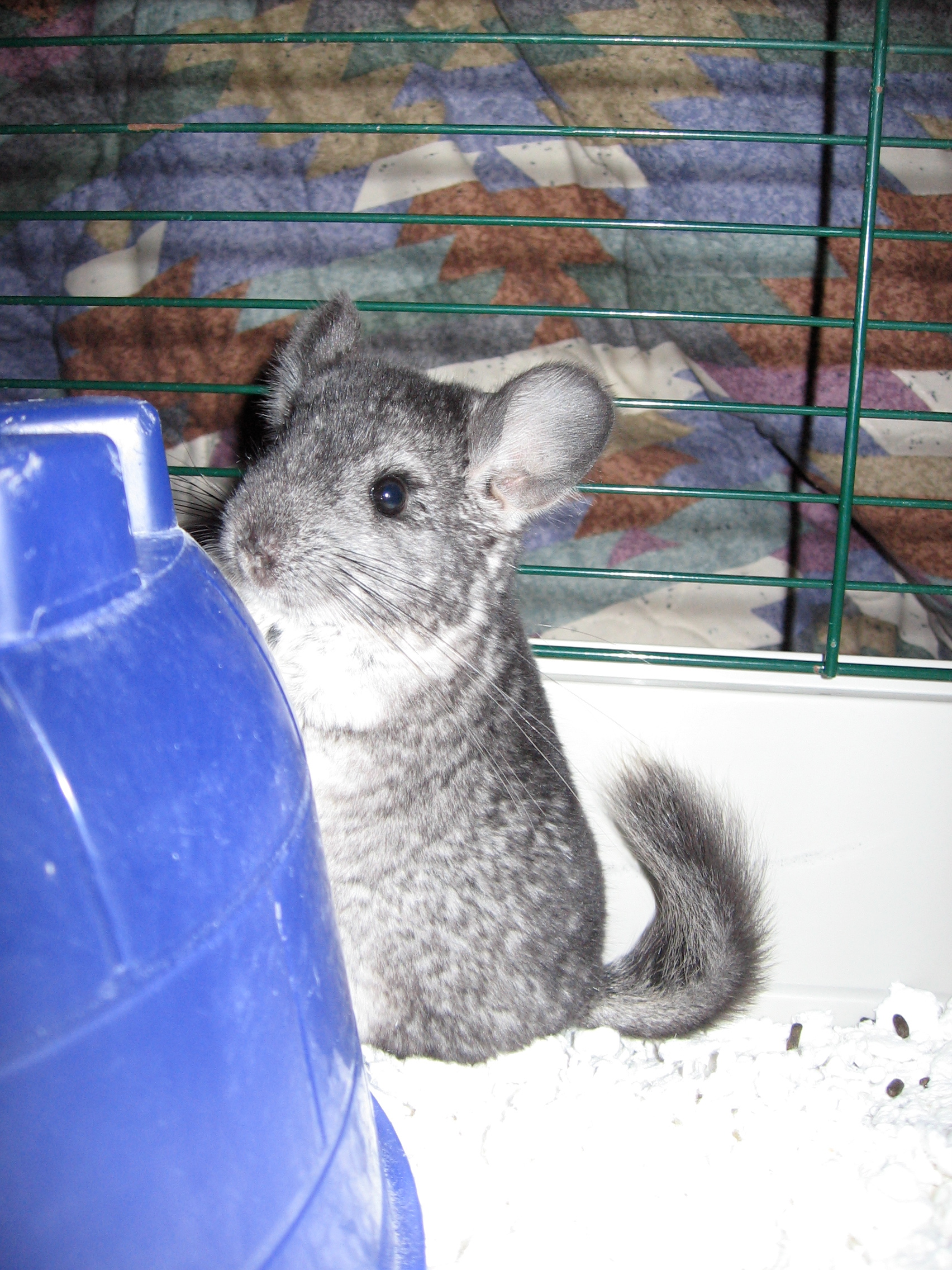 user avatar image for Jess K