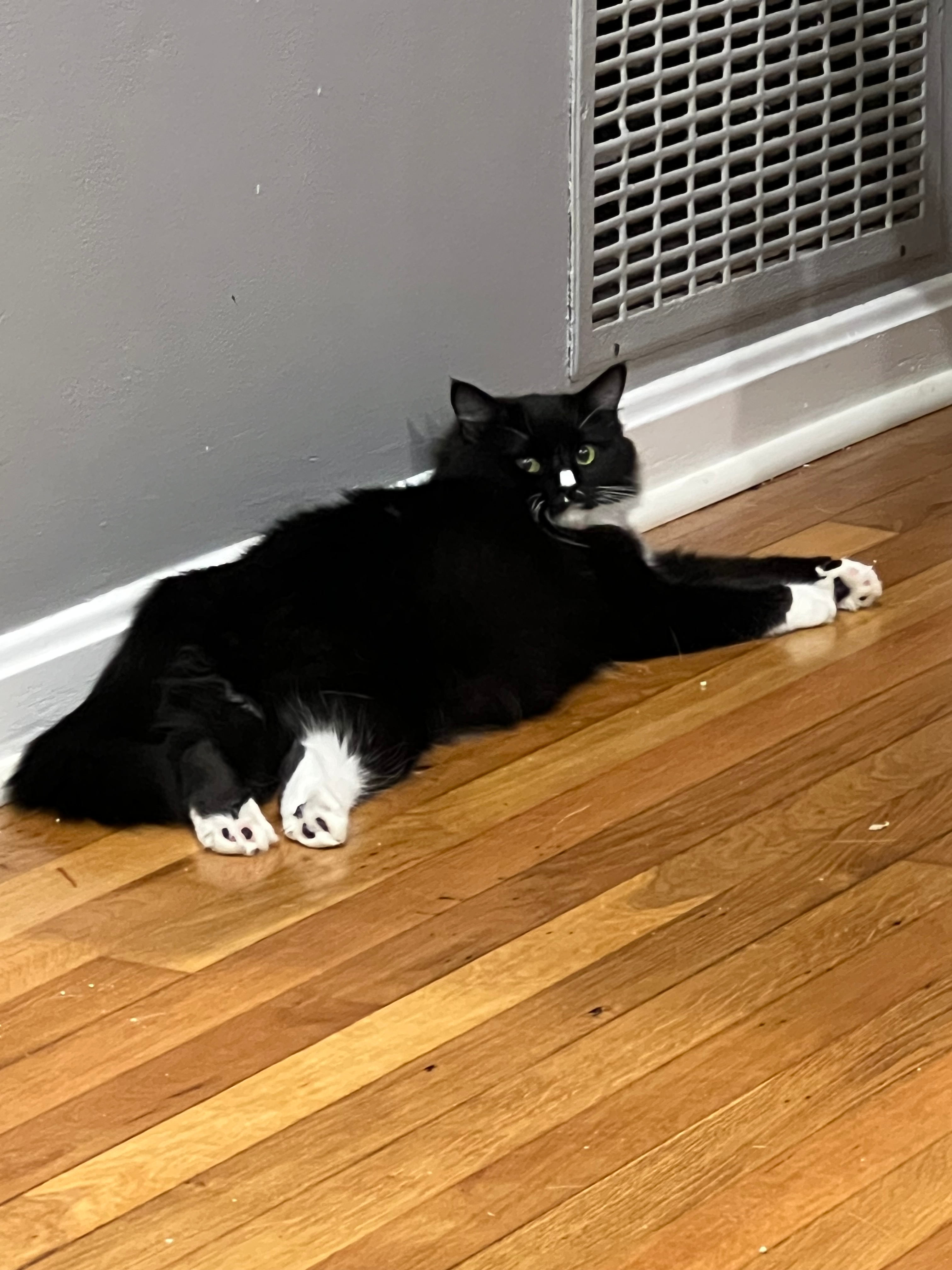 user avatar image for Joshua Thomas