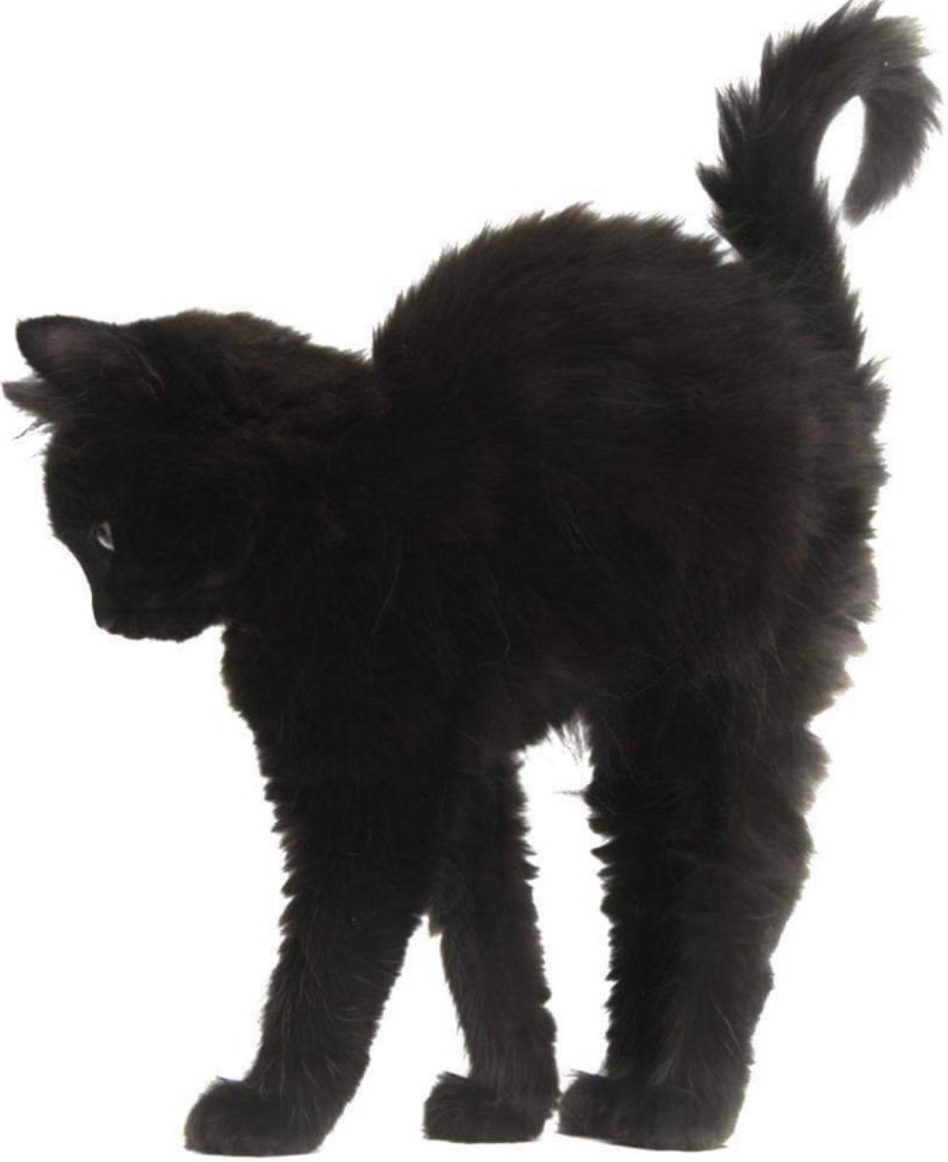user avatar image for HeadScratcher 