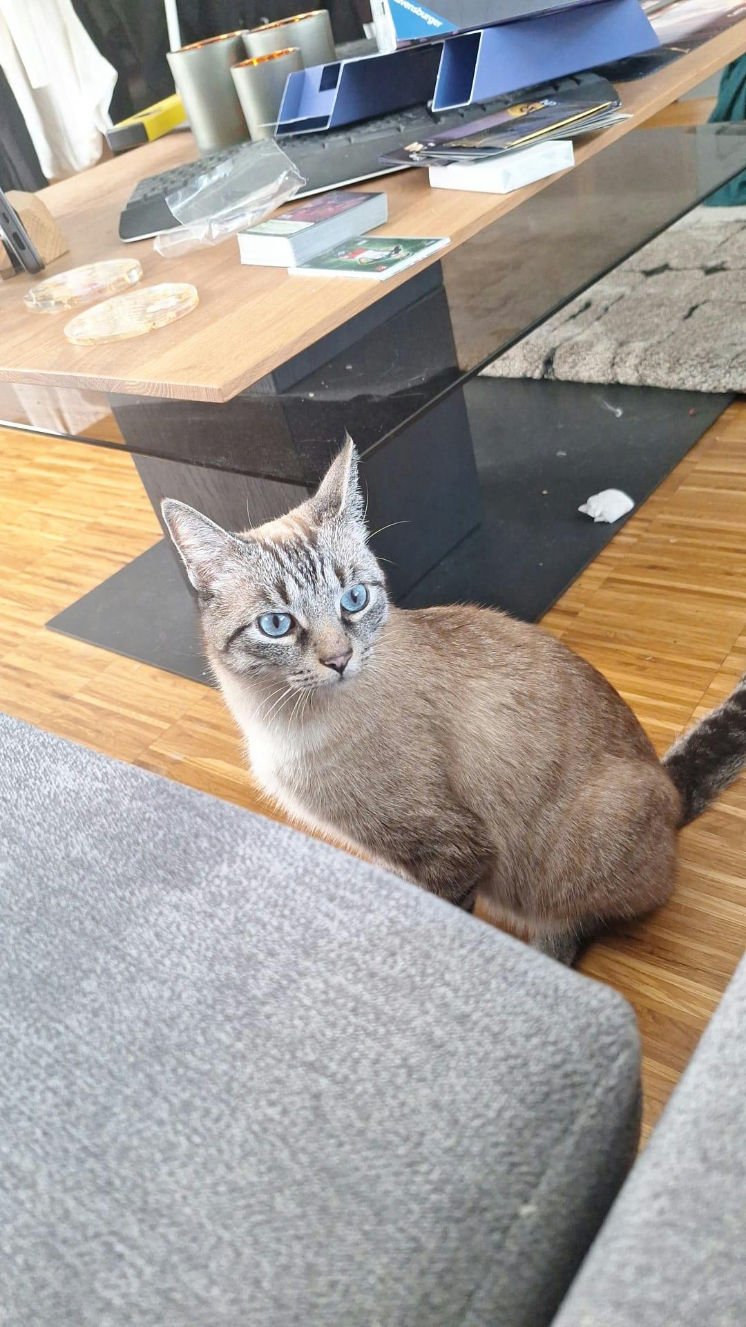 user avatar image for Dennis