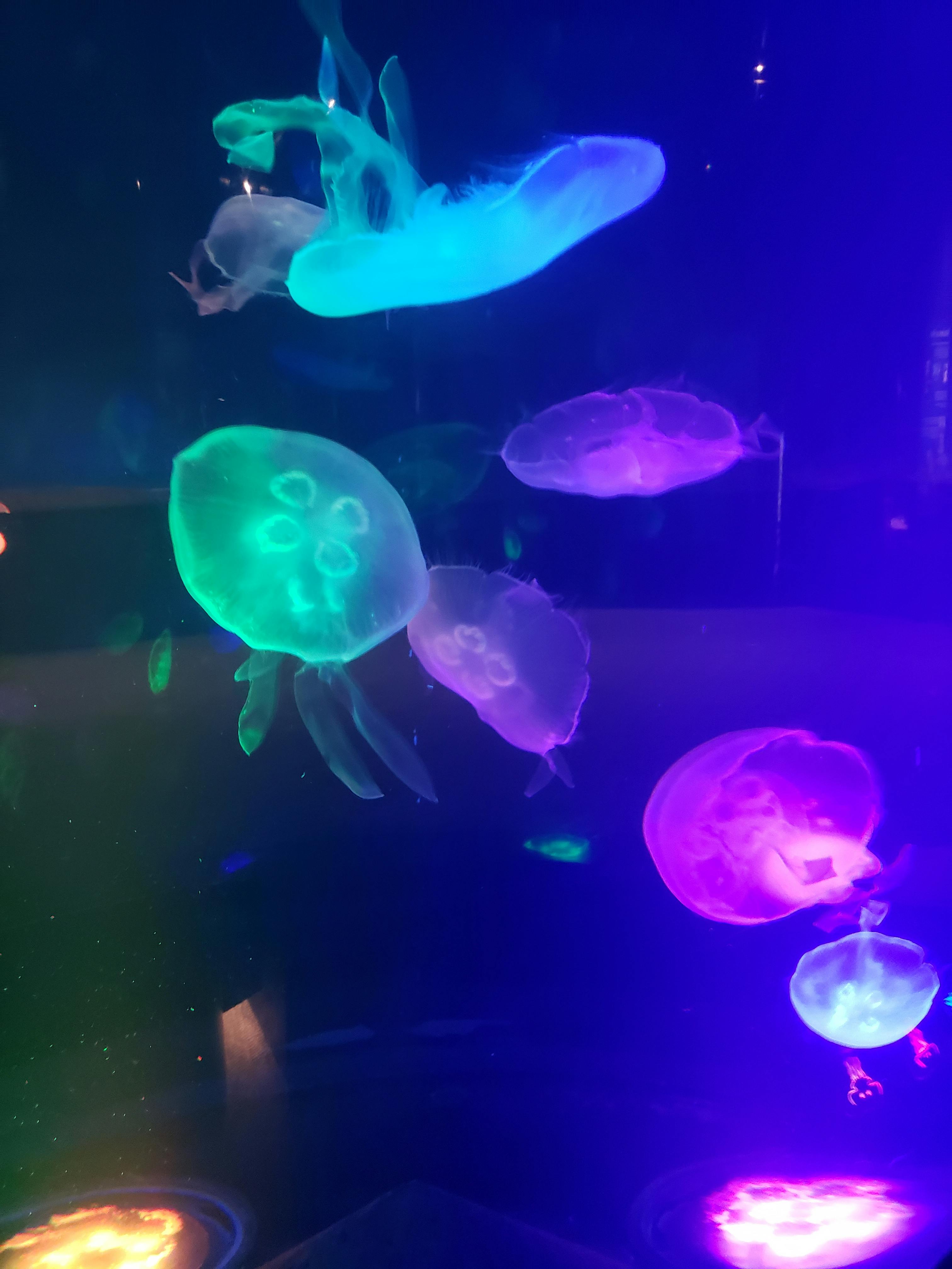 user avatar image for Flame