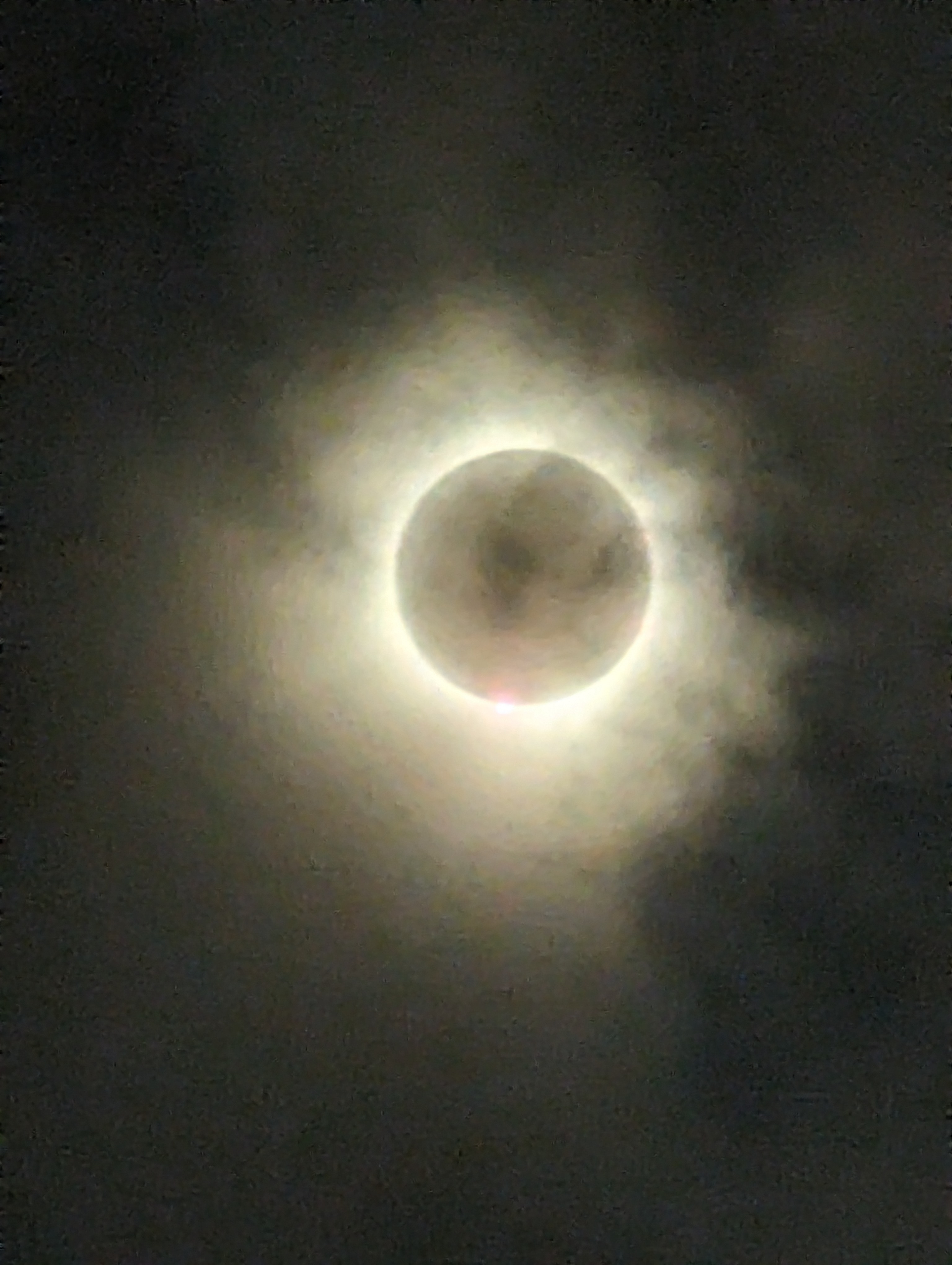 user avatar image for Logan Alexis 