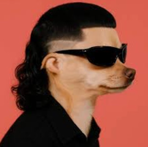 user avatar image for Jeff