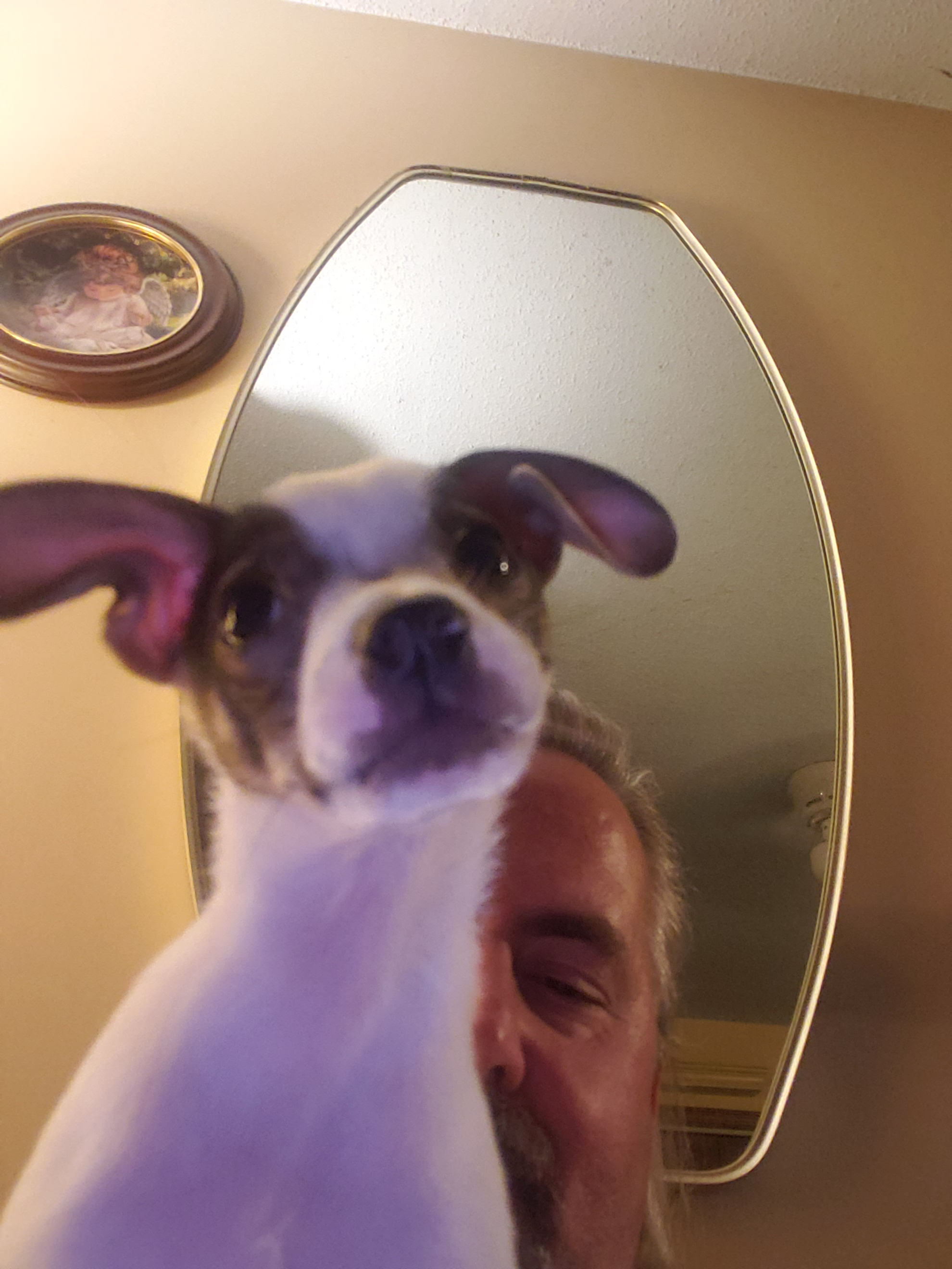 user avatar image for Larry Veit 