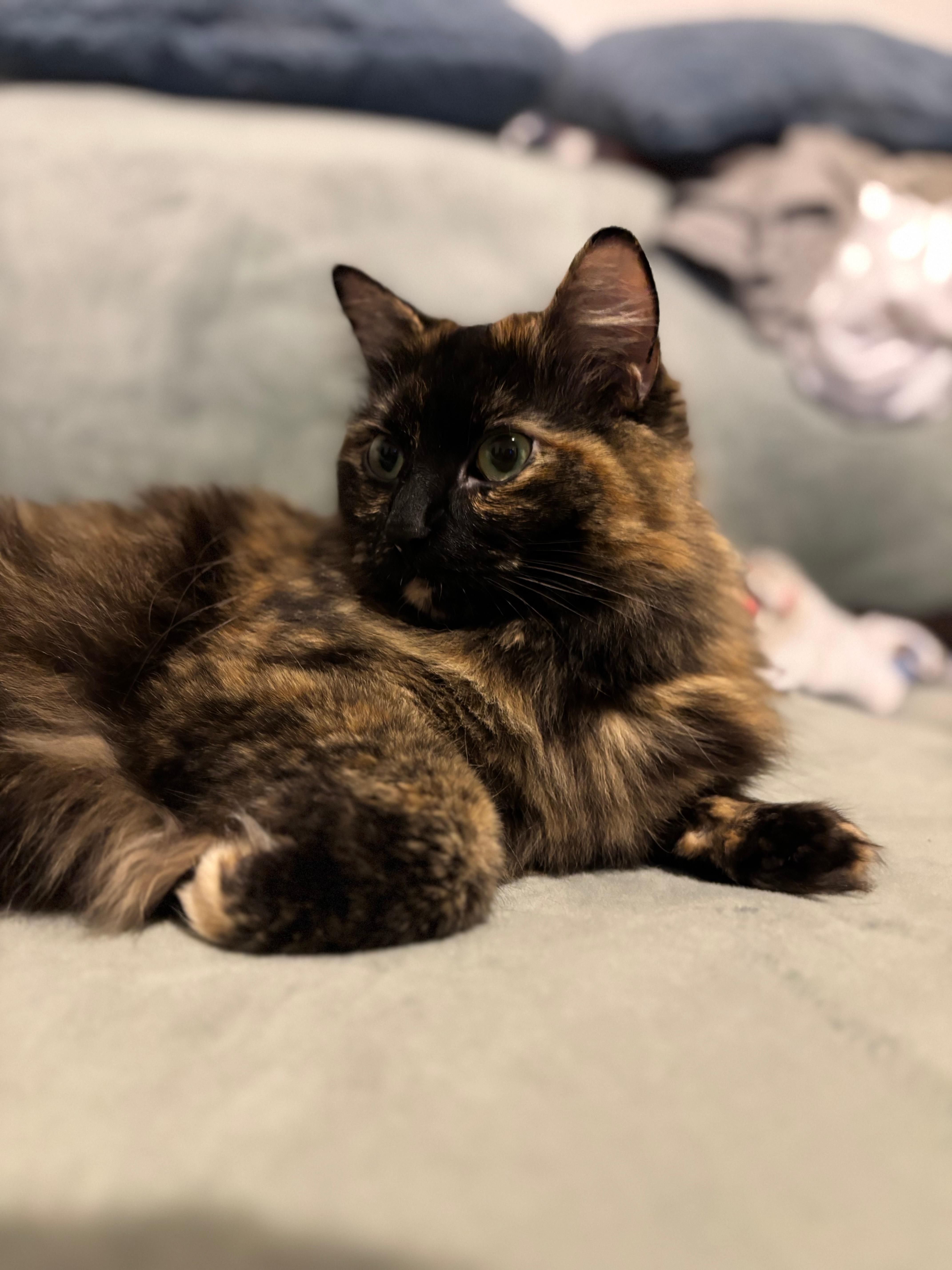 user avatar image for Tayia Bush