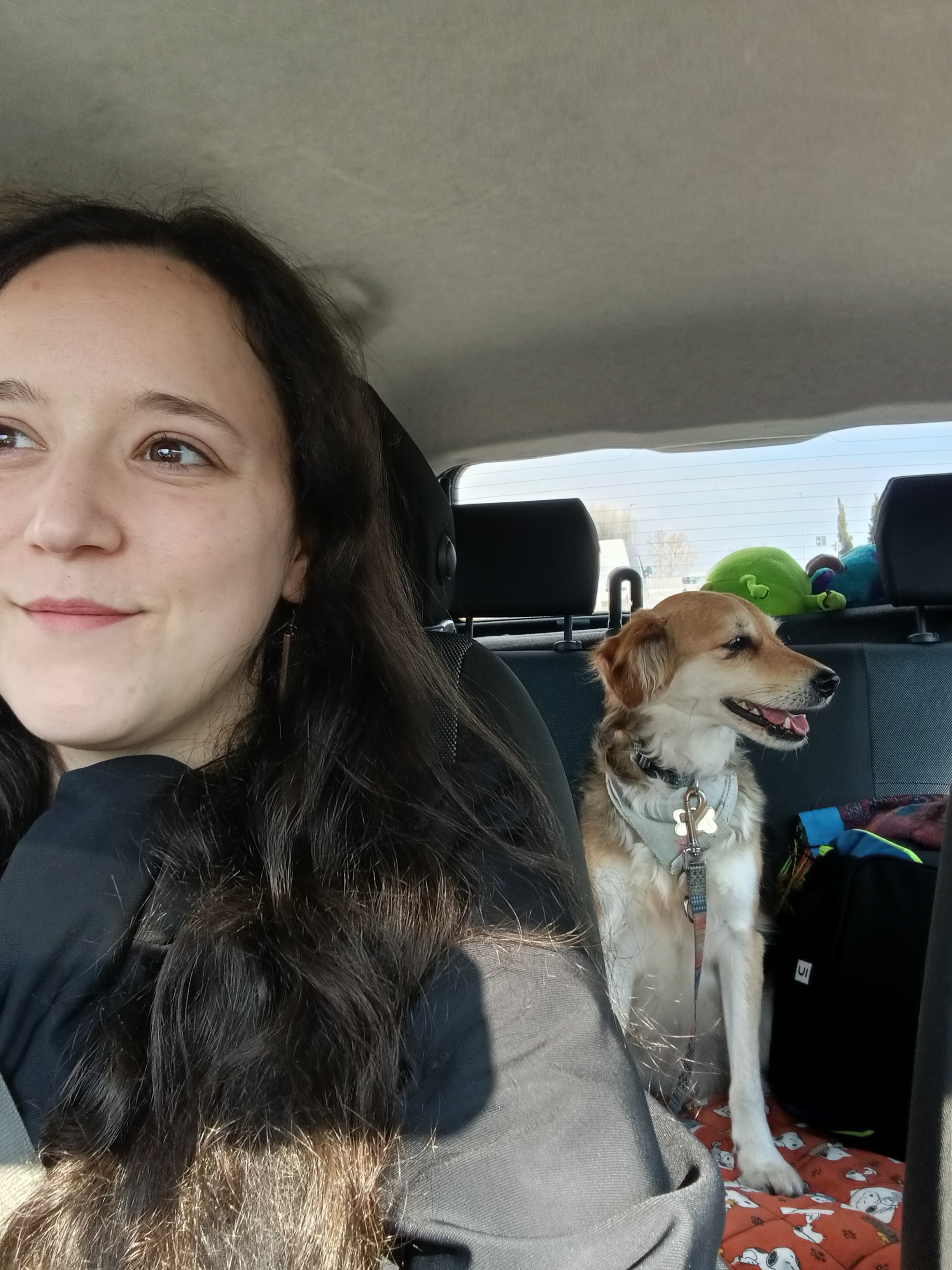 user avatar image for Ilaria Aloise