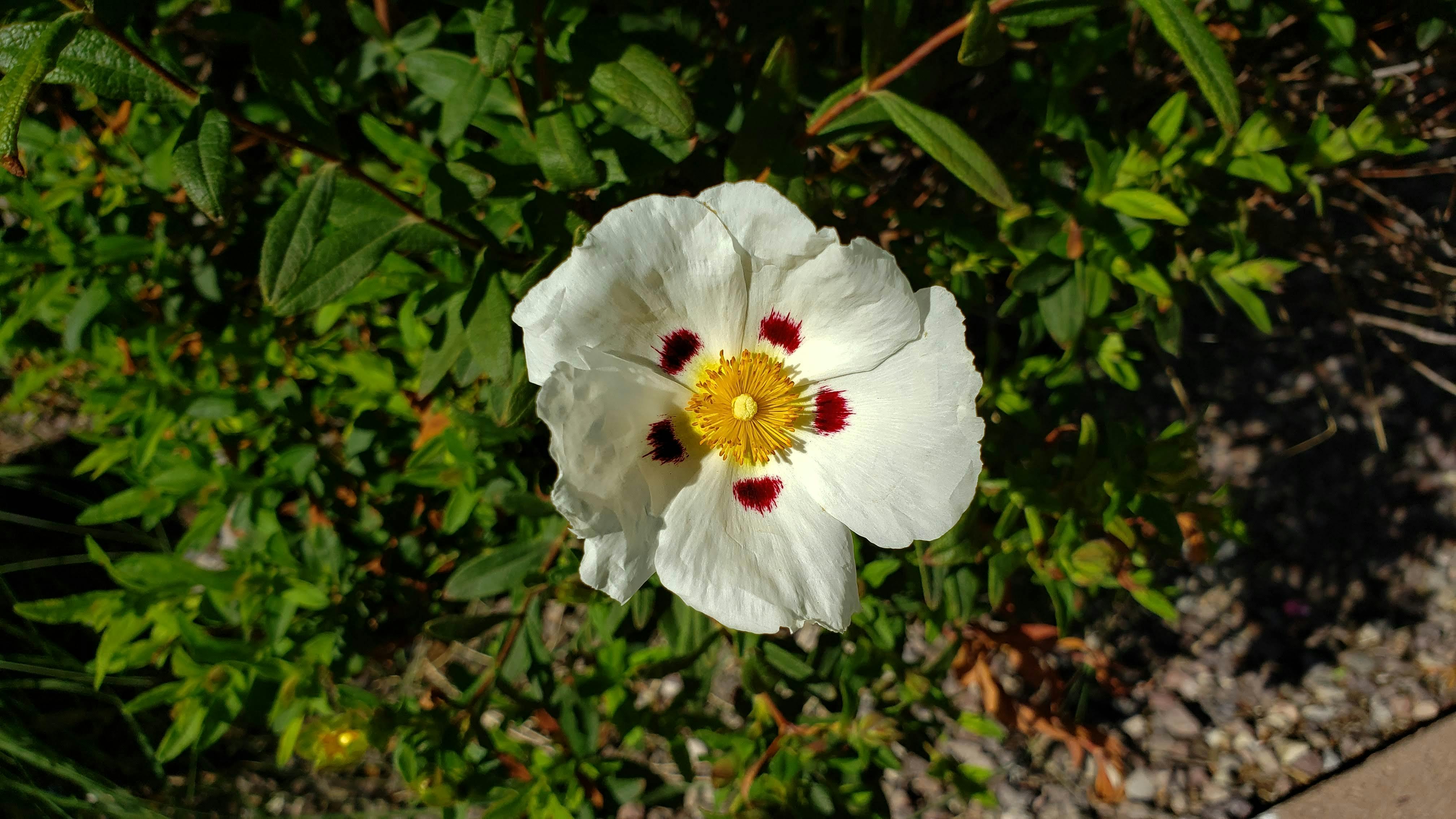 user avatar image for Moon Shadows