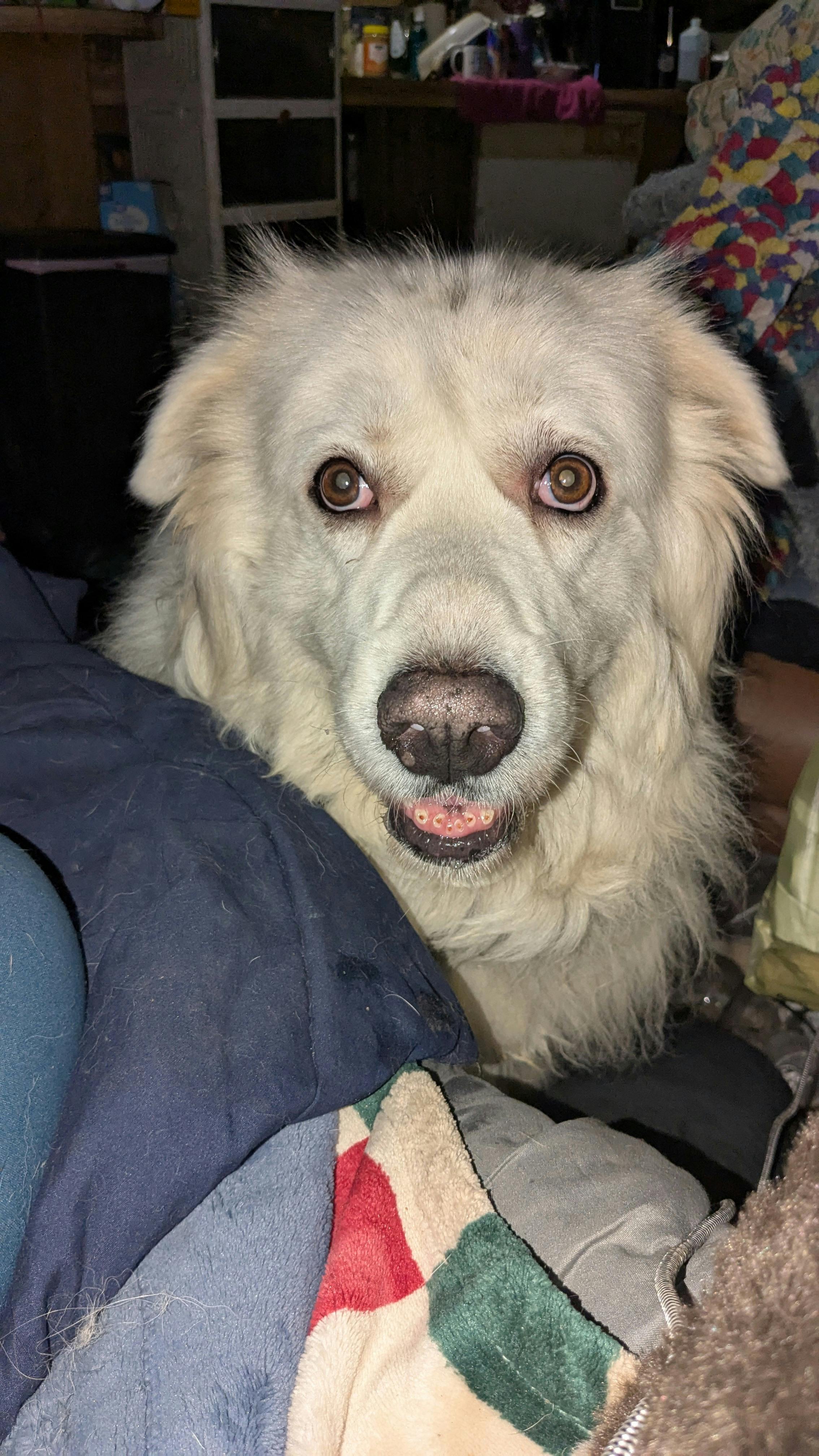 user avatar image for Julie Duncan