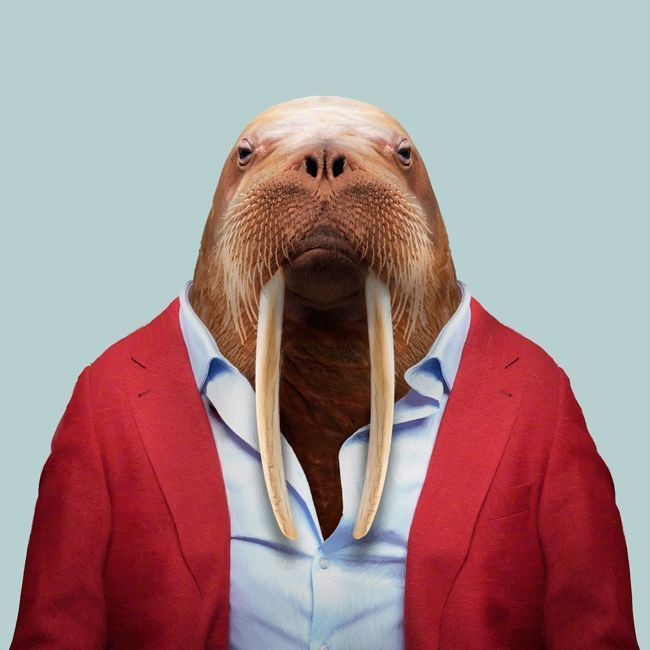 user avatar image for BigRed