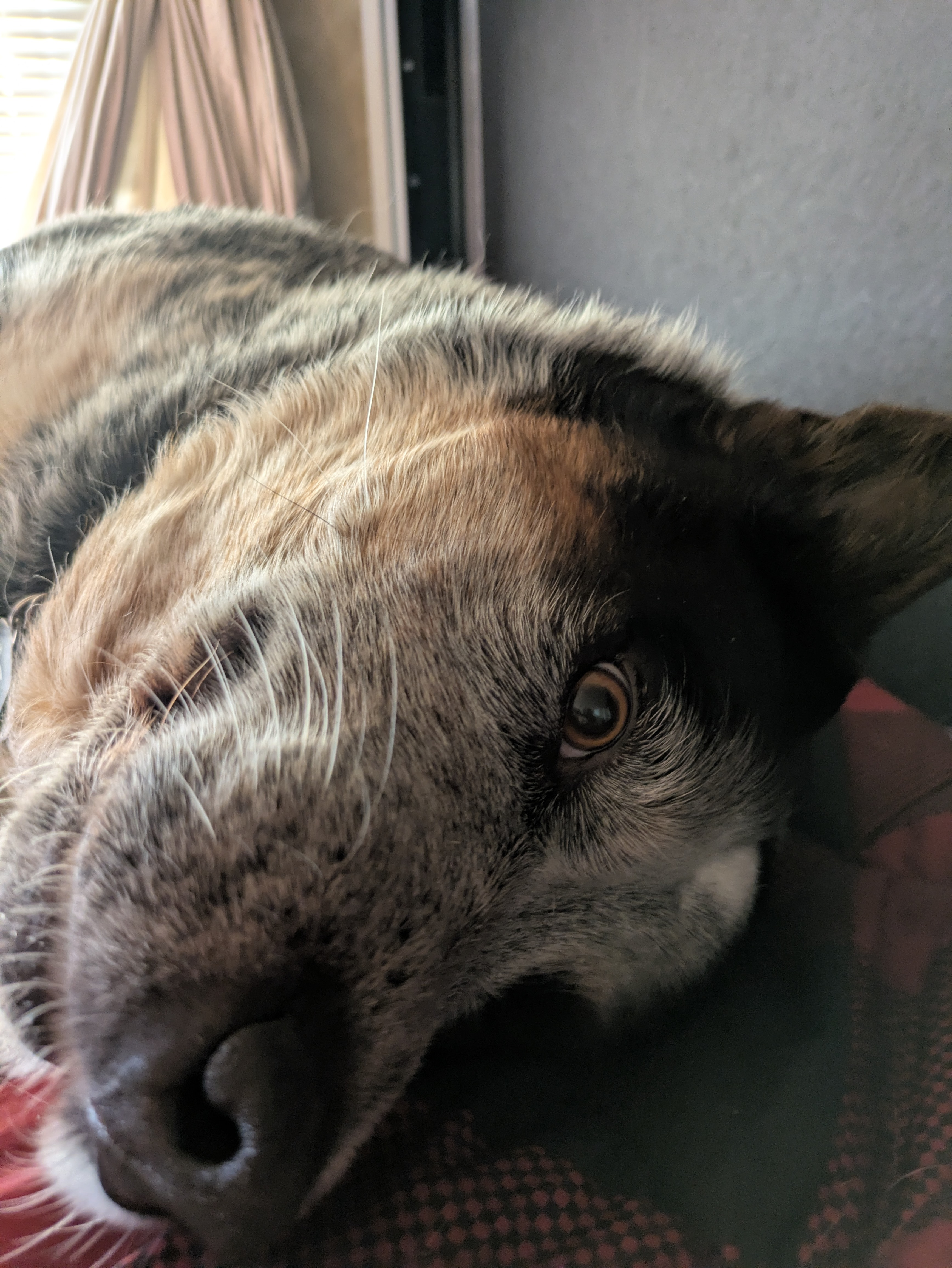 user avatar image for SEAnthoney