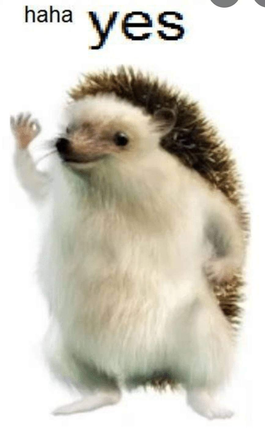 user avatar image for IPJ777