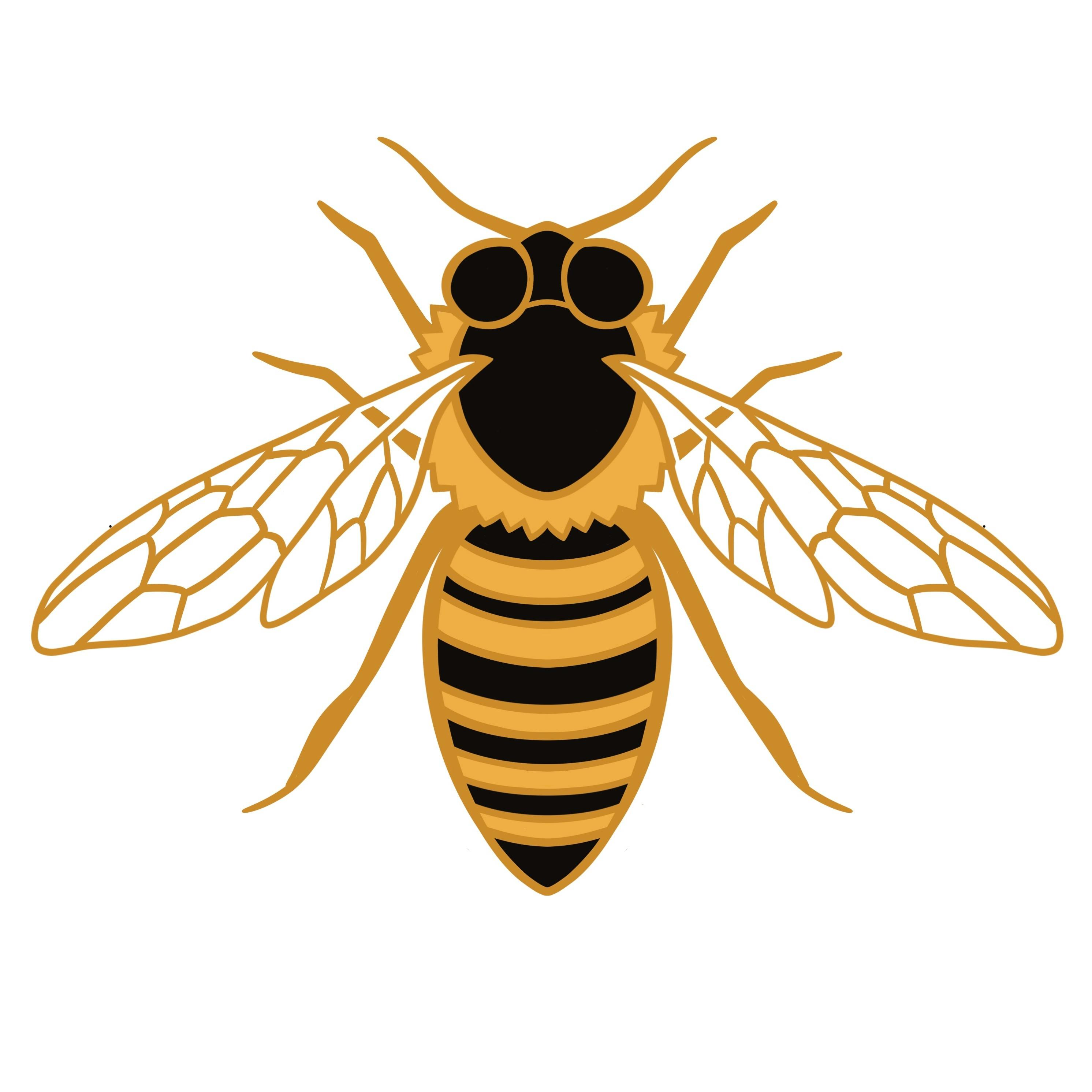 Honey Bee 1.5" mini pin