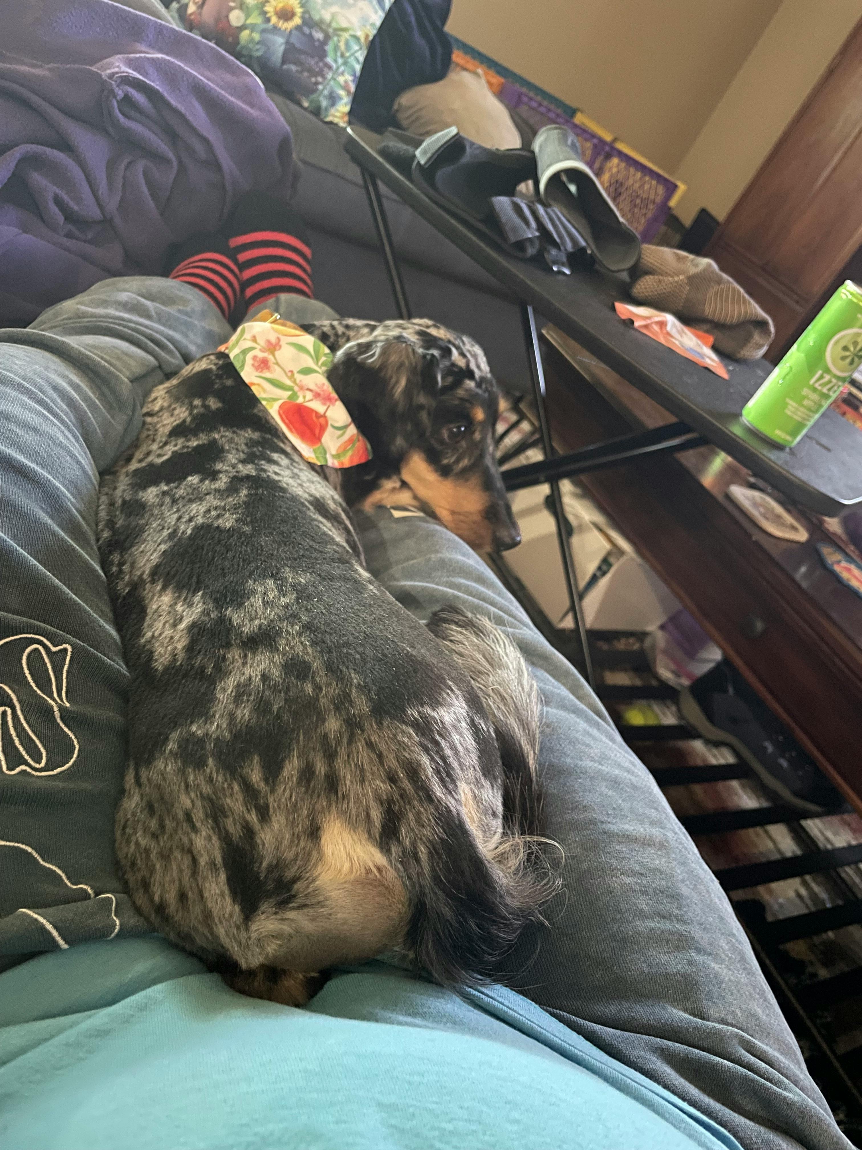 user avatar image for Chelsea