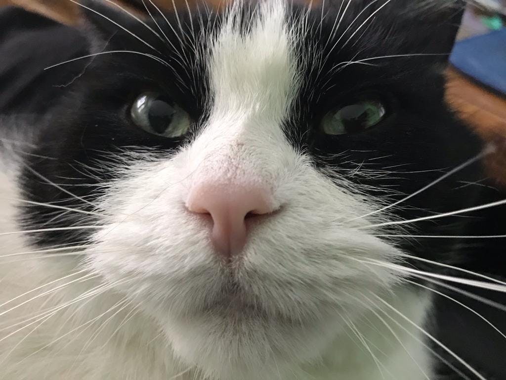 user avatar image for Kay Martens