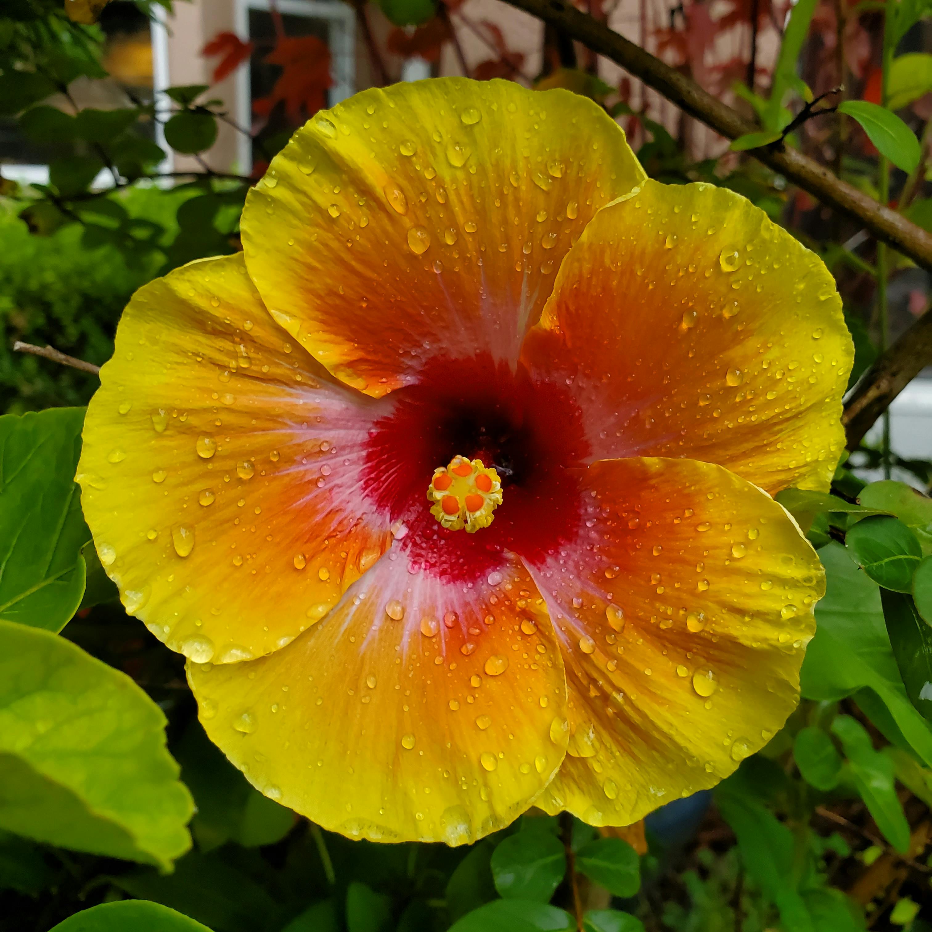 user avatar image for cc_smiles