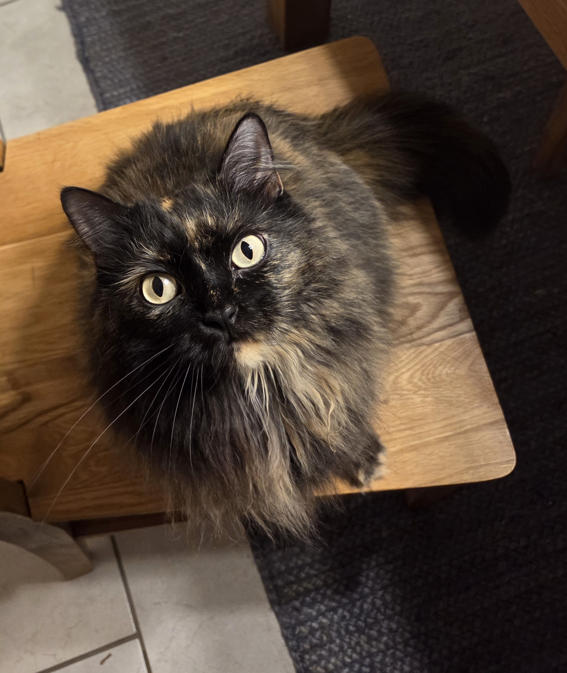 user avatar image for Eva Propes