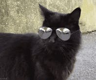 user avatar image for Dr. Shades