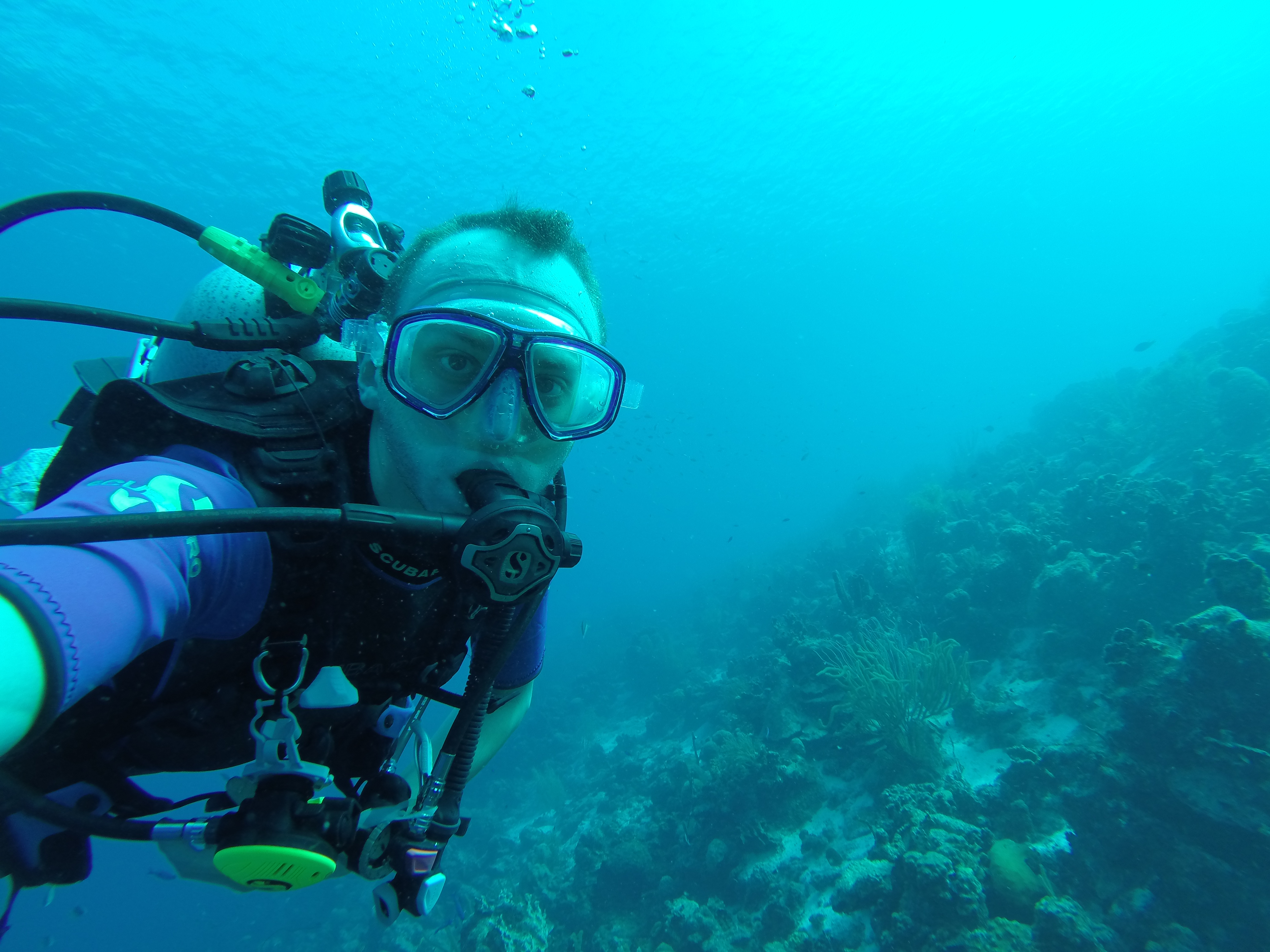 user avatar image for Connor Long