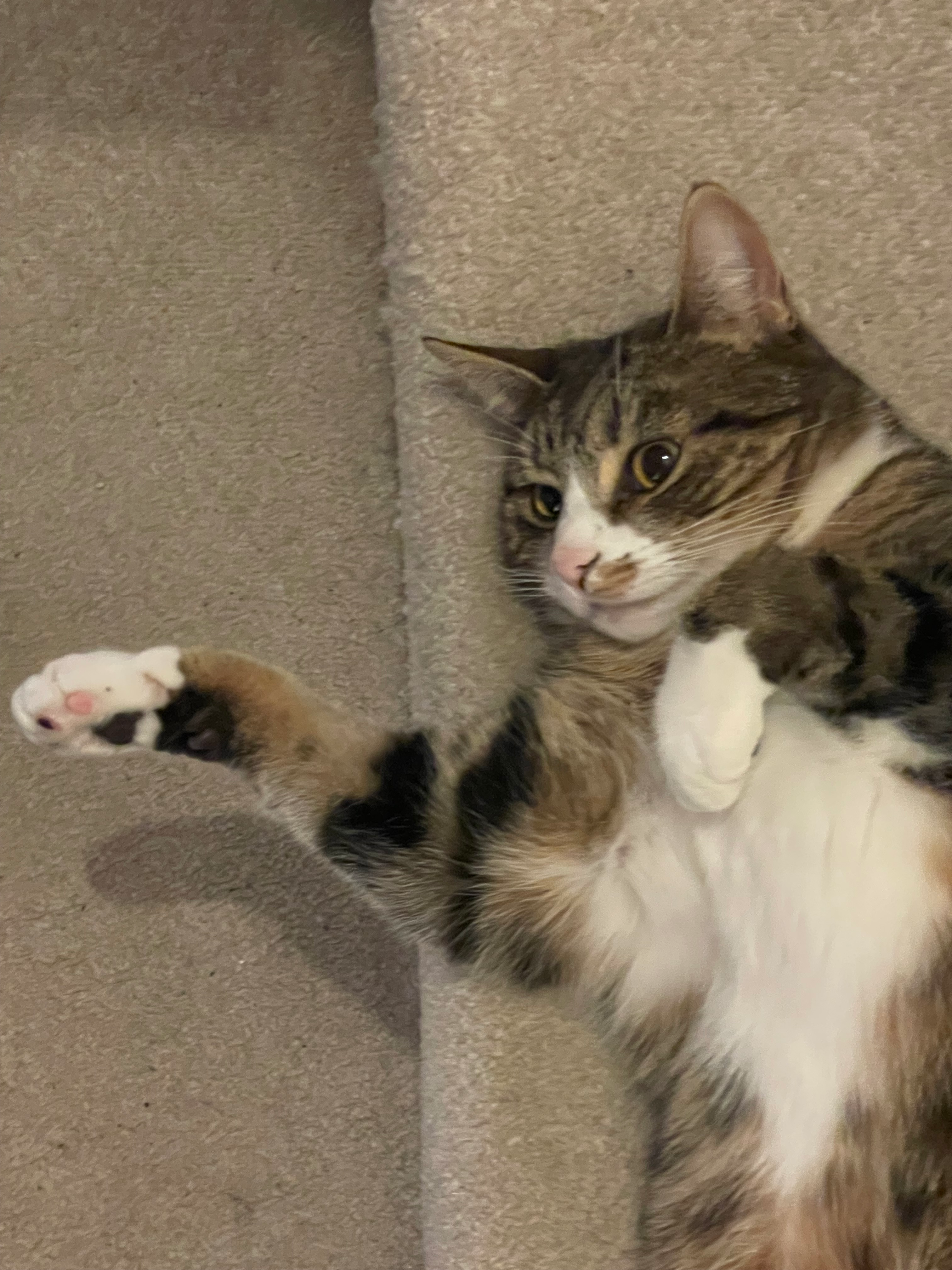 user avatar image for Charlotte