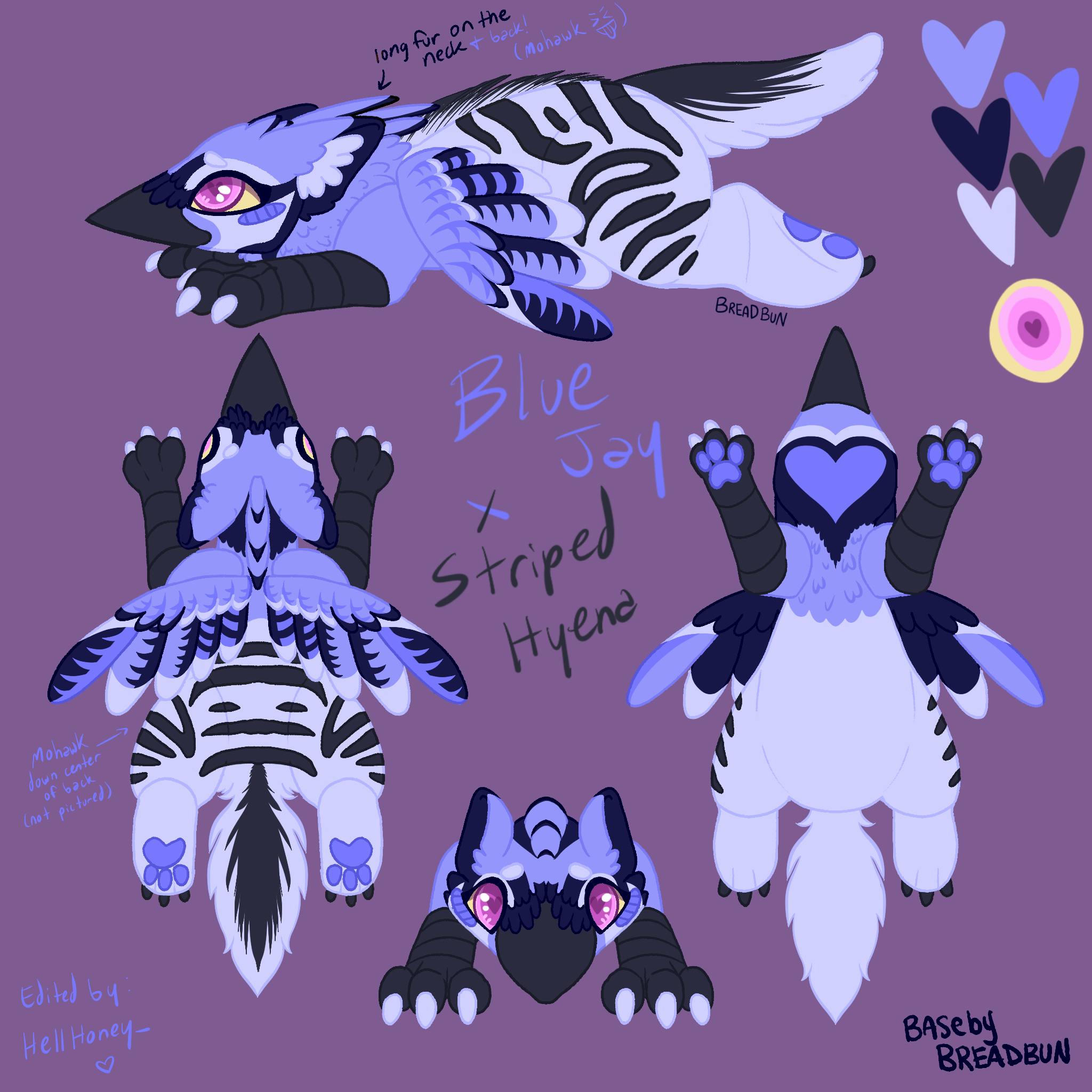 Blue jay strandwolf