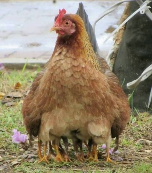 user avatar image for Charles Morgan