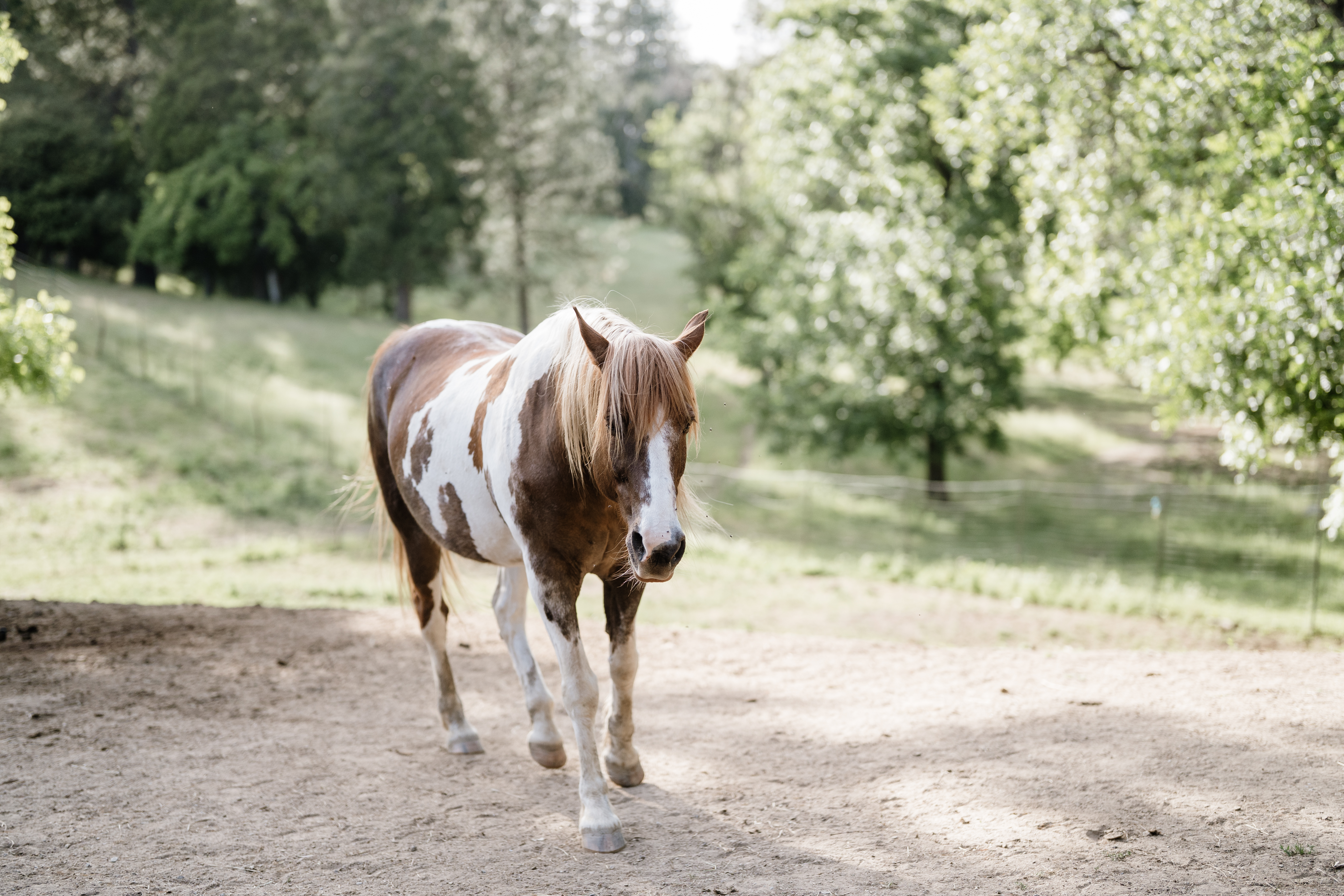 user avatar image for Crawler#98637489