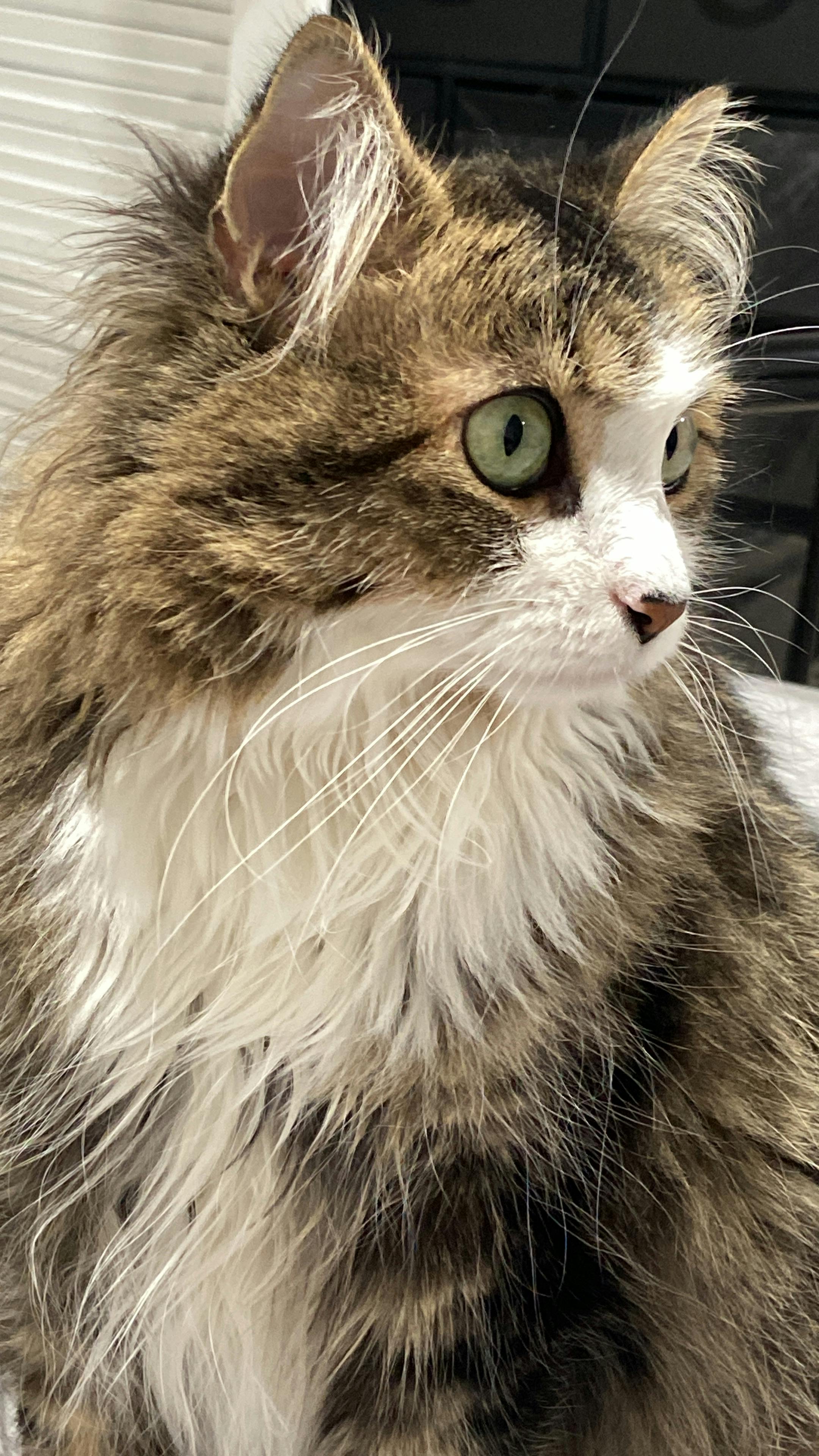 user avatar image for Sammy001