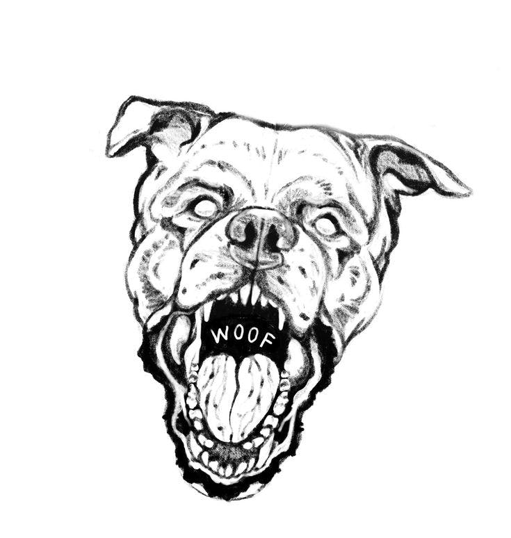 user avatar image for Kaelin Cook