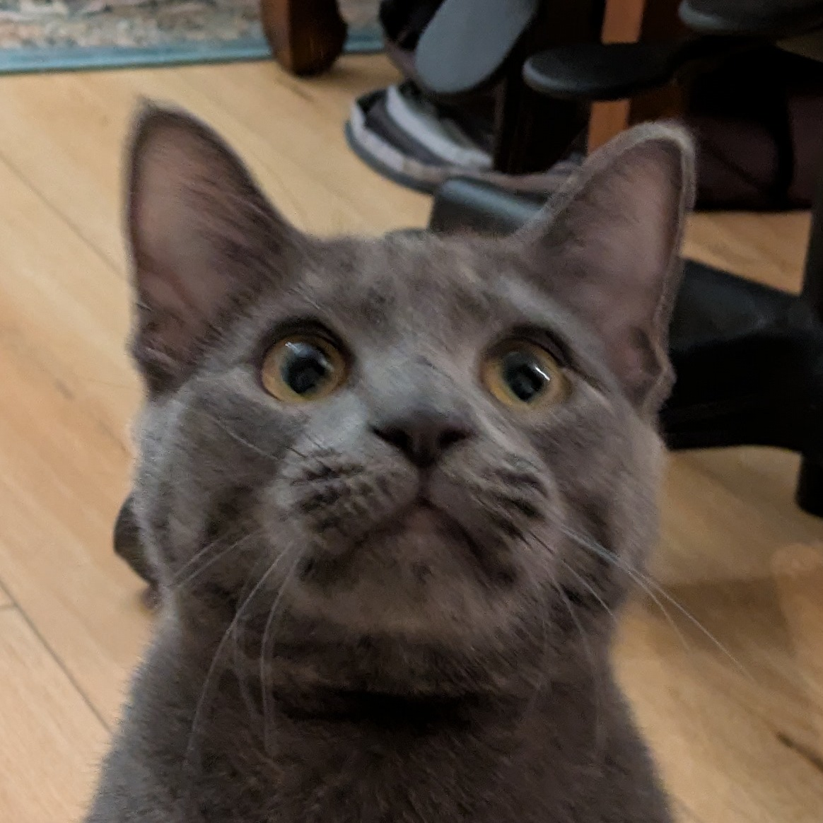 user avatar image for Val