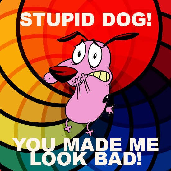 user avatar image for Charles Clements