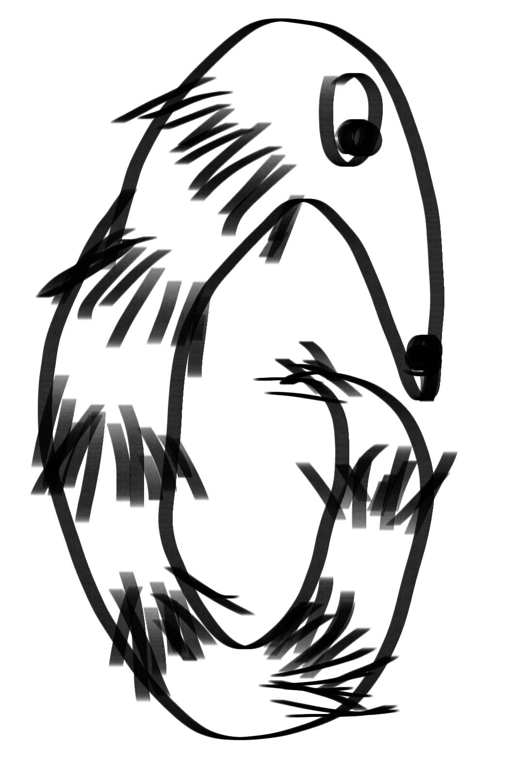 user avatar image for Kieran 