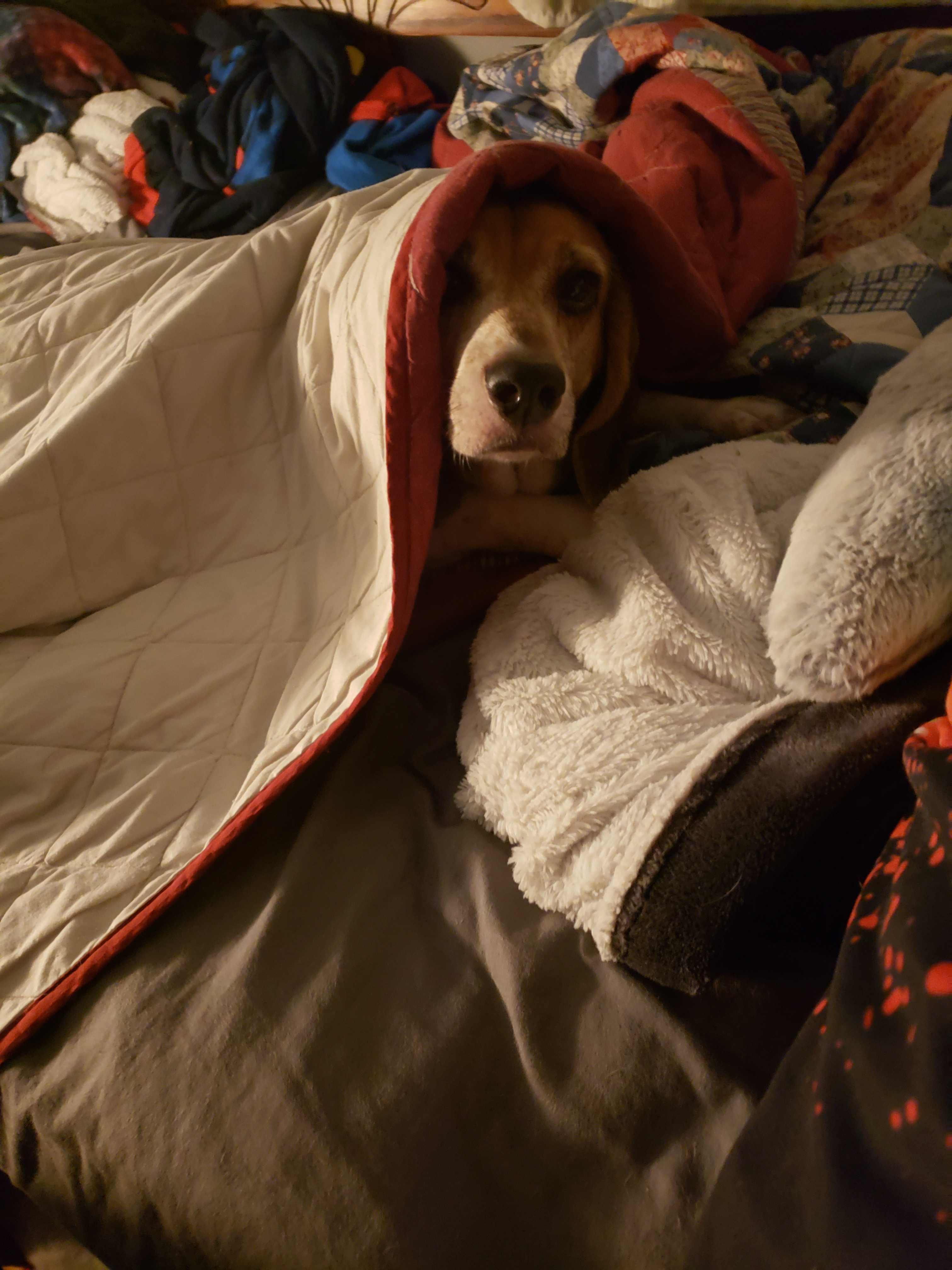 user avatar image for Kristen Renea Wilson