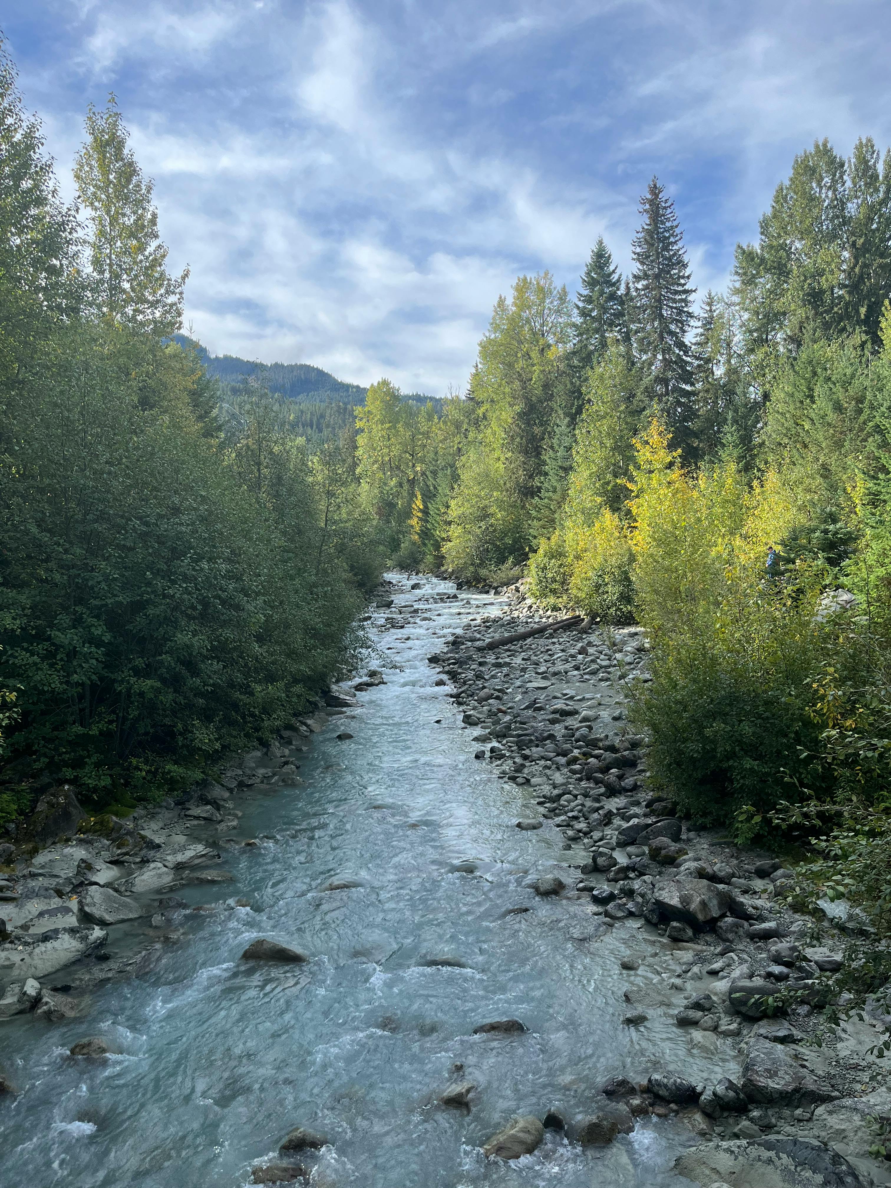 user avatar image for Kayla Fehr