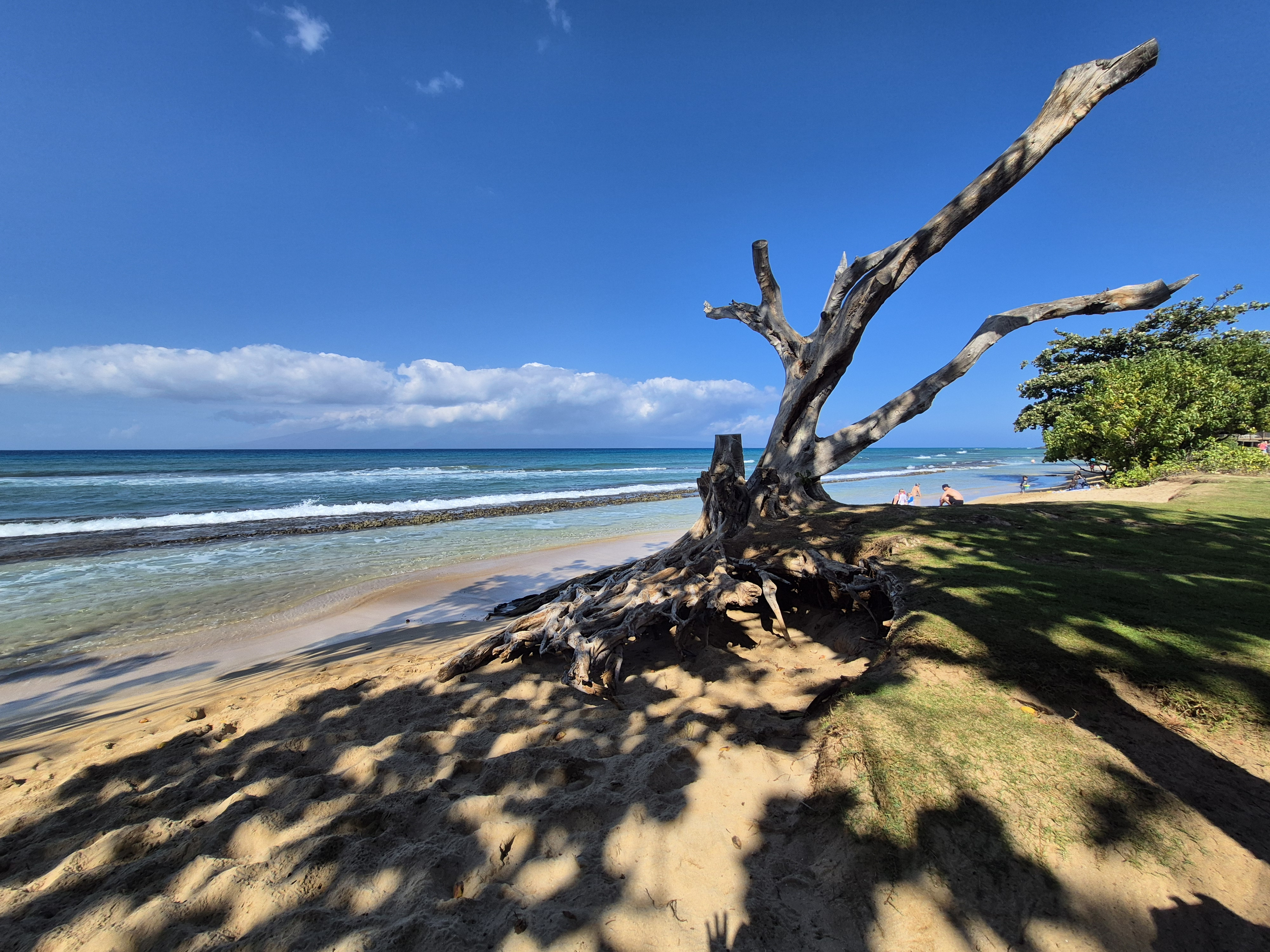 user avatar image for Redjumpin 