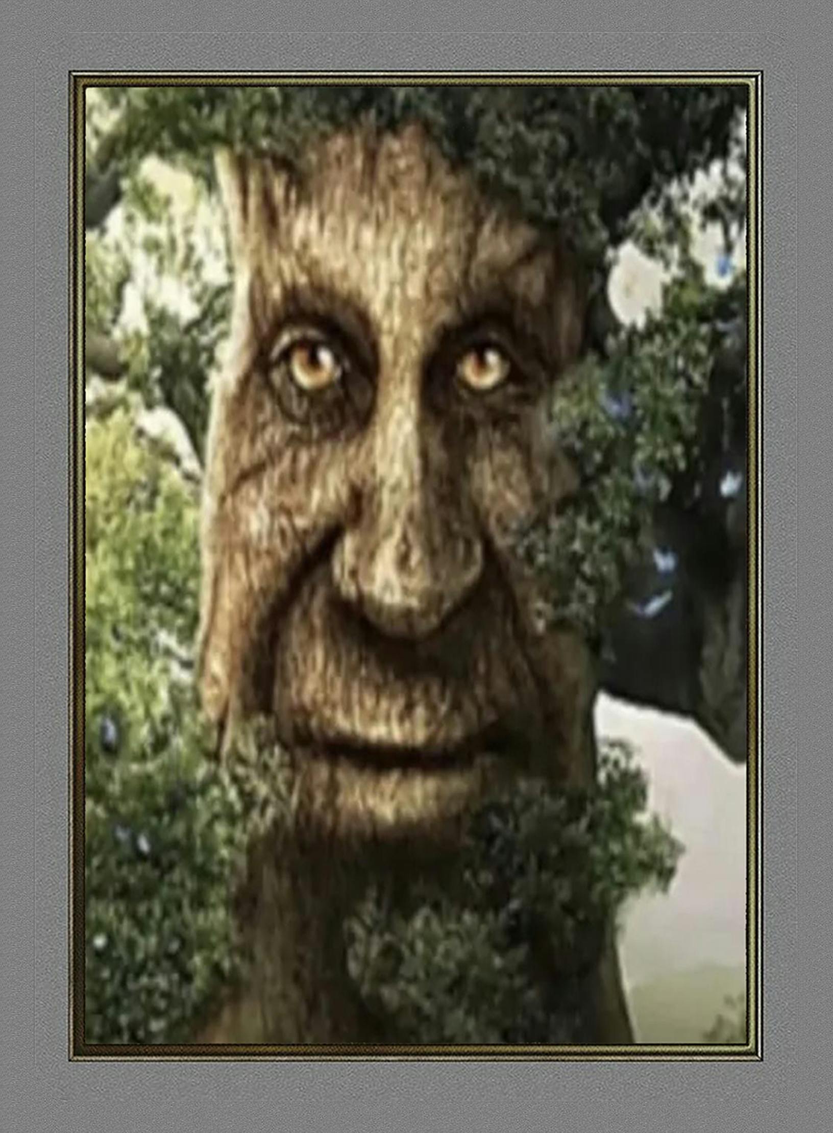 user avatar image for Joshua Kading