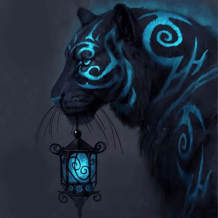 user avatar image for Zivilyn