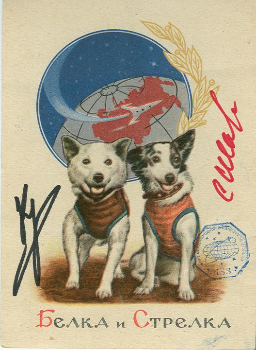 user avatar image for belka-n-strelka