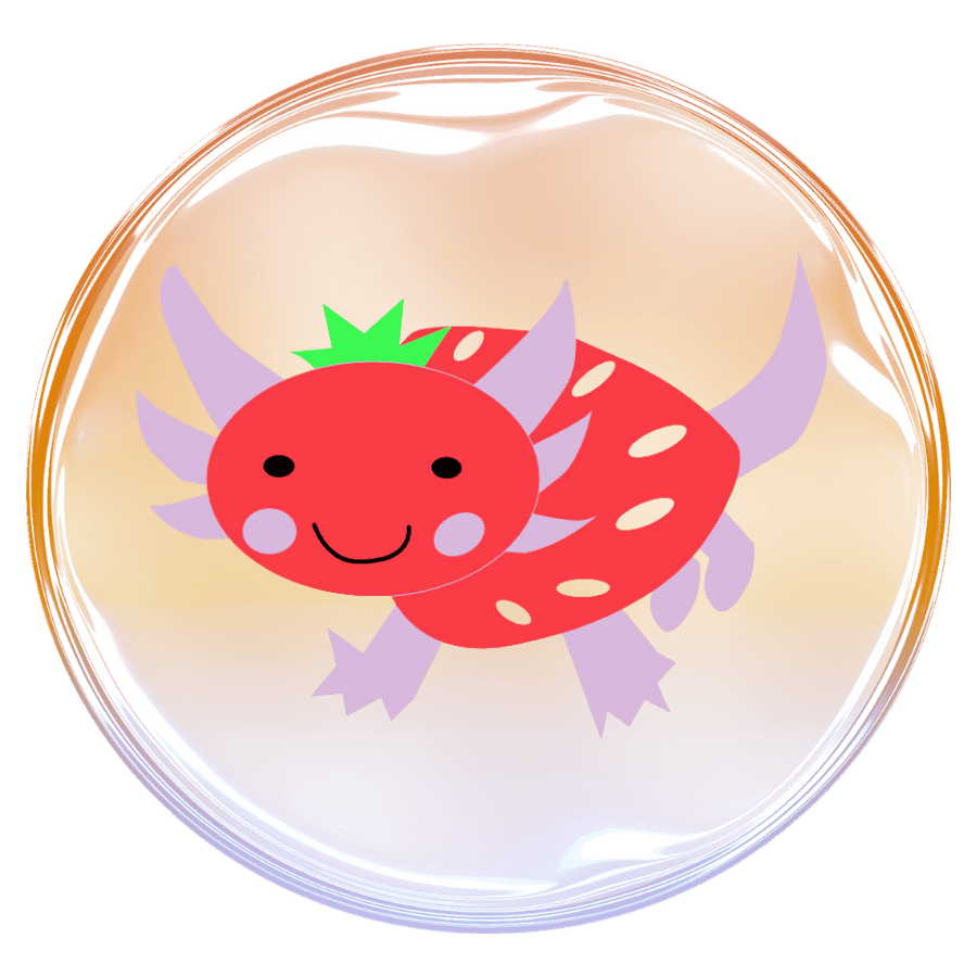 Strawlotl 🍓+🩷