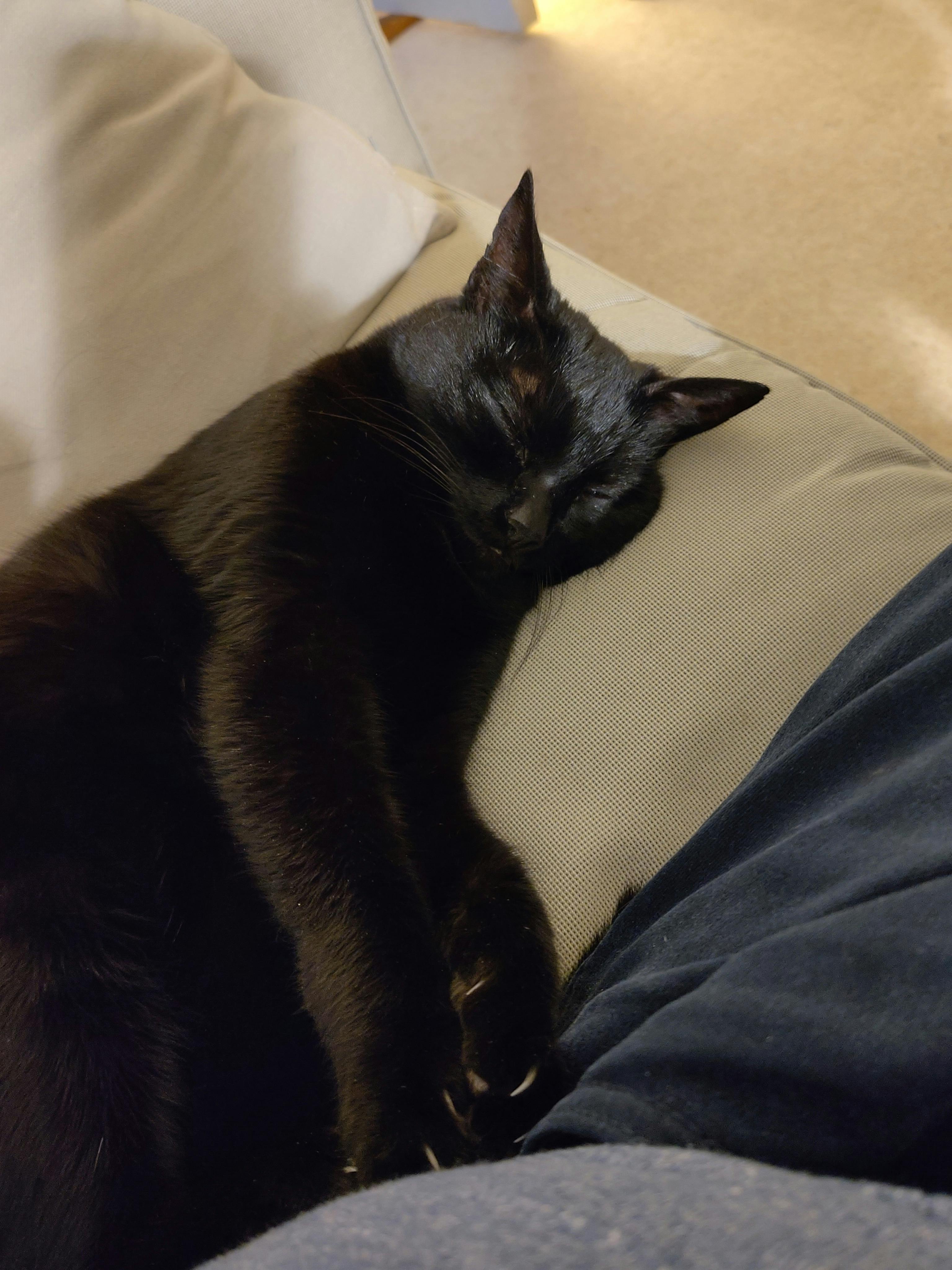 user avatar image for Jackson Griffiths