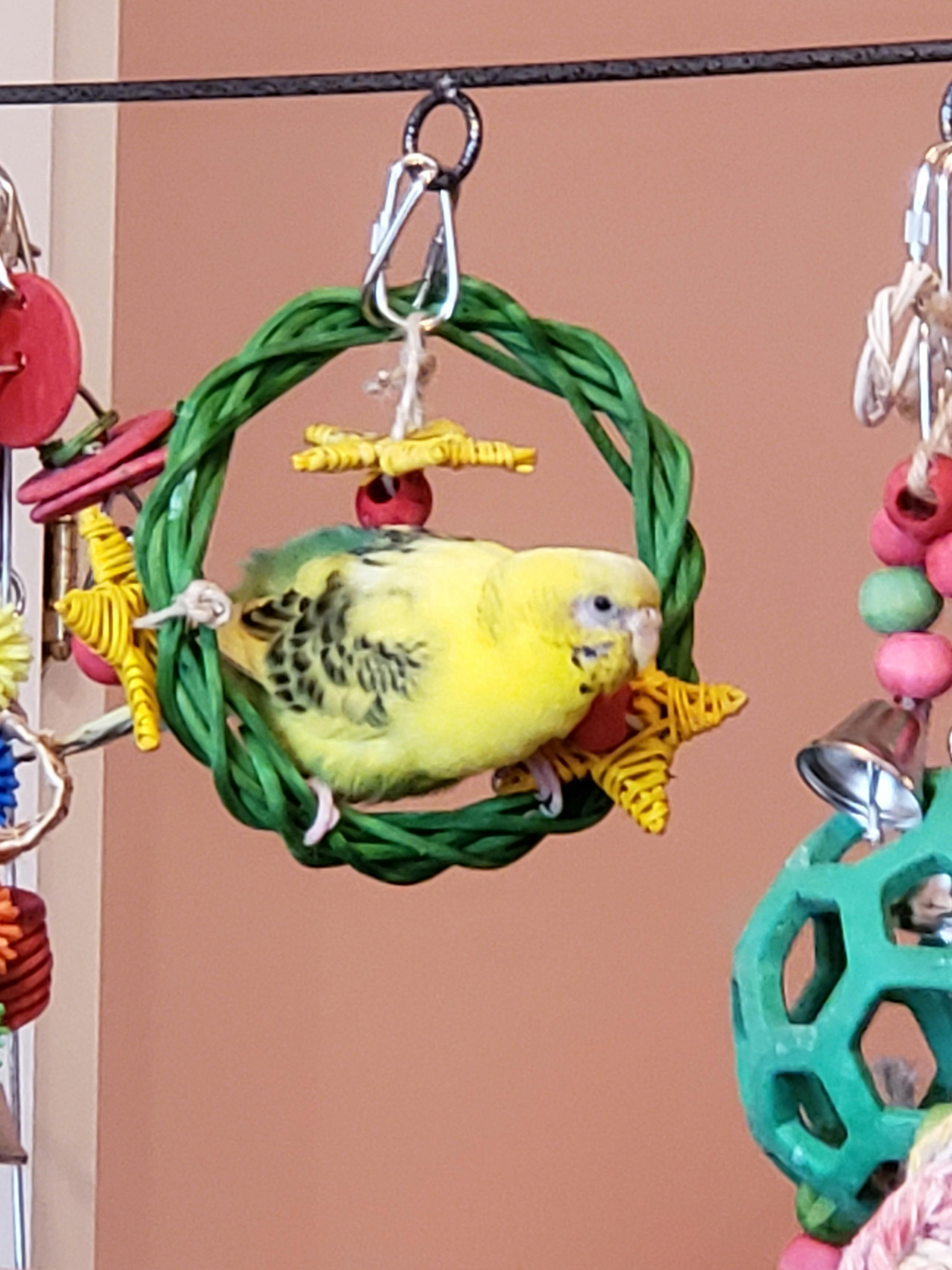 user avatar image for Patricia Panagoulias