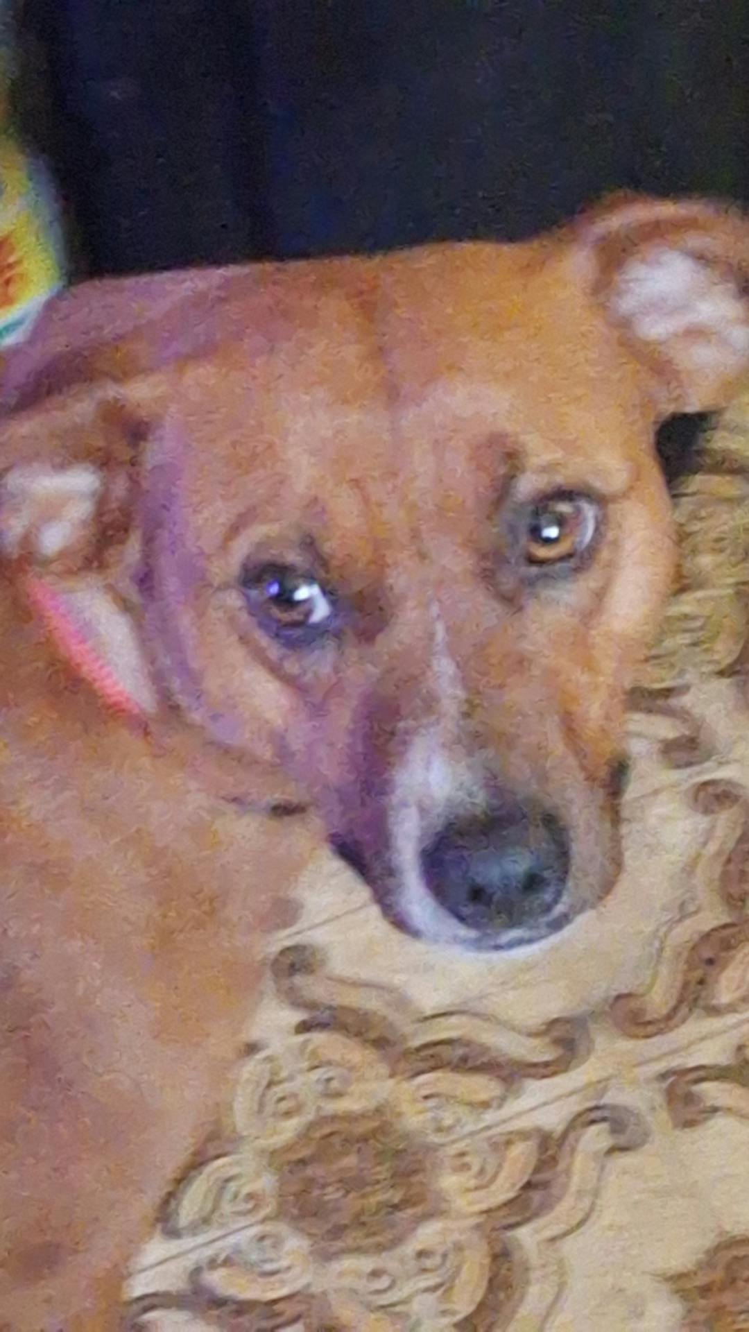 user avatar image for Wolcat