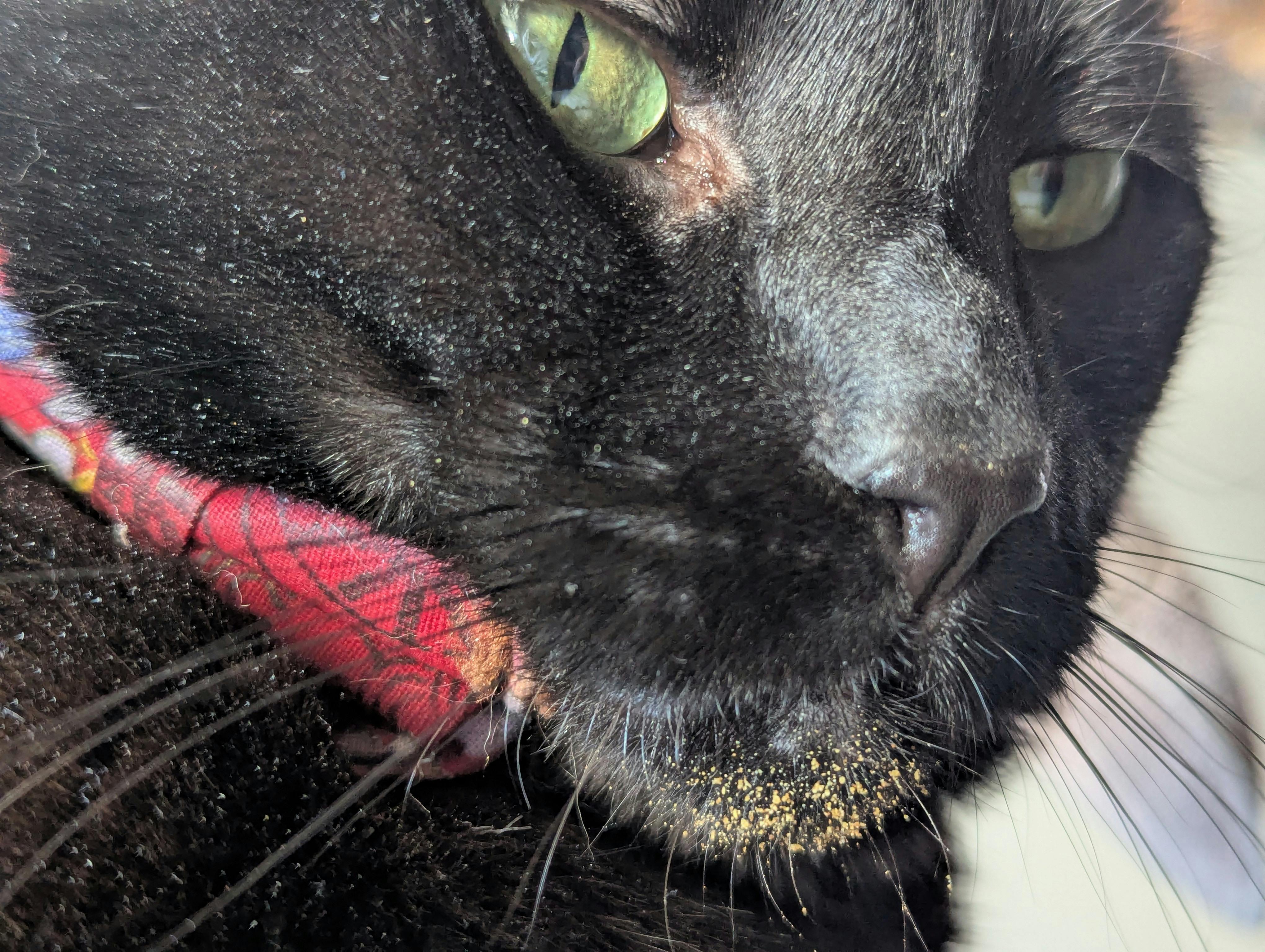 user avatar image for Jay!