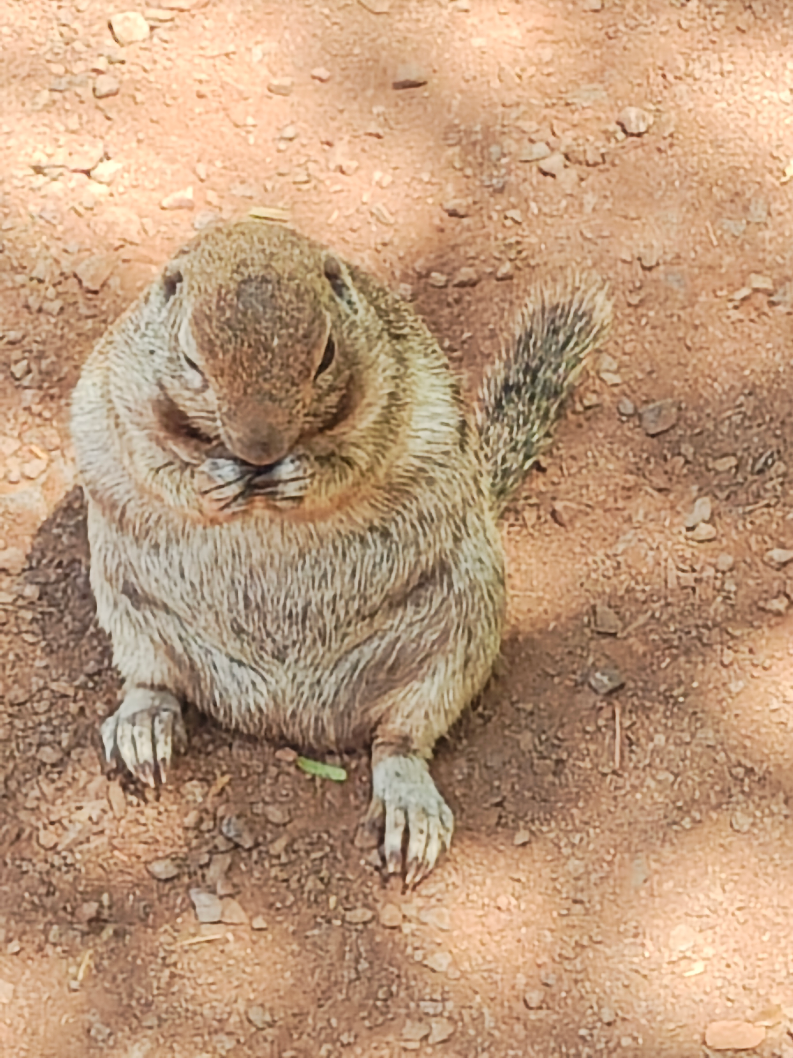 user avatar image for Moices 