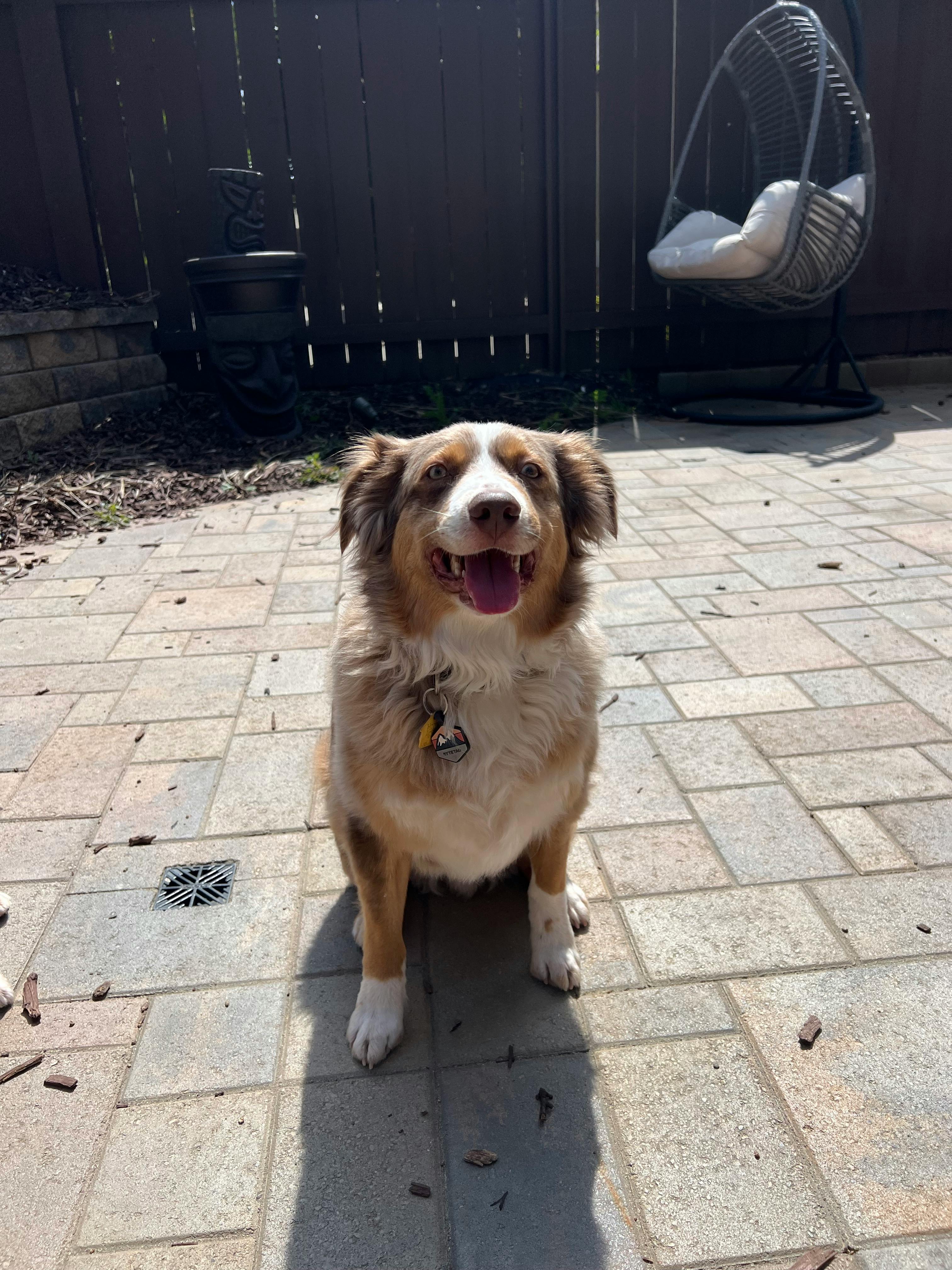 user avatar image for Forrest Parker